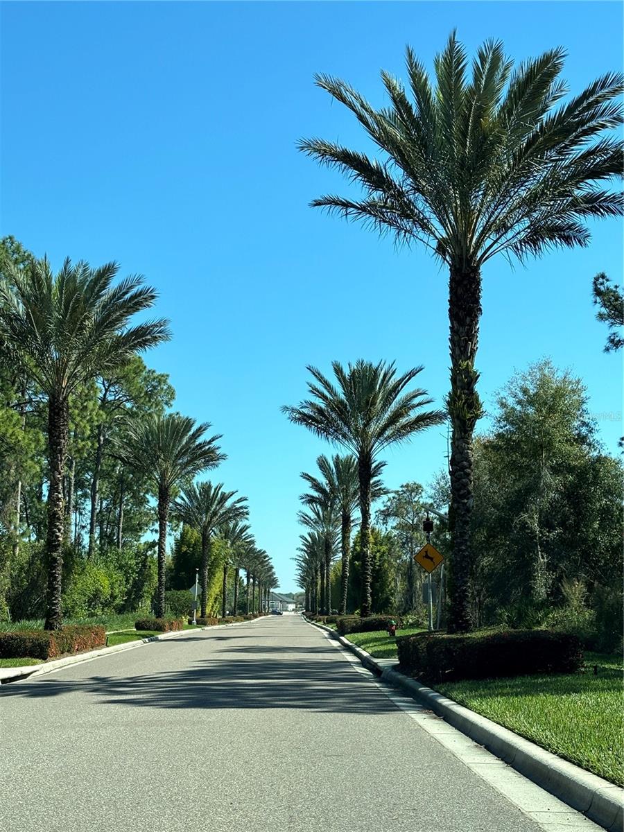 Condo - Hotel at 14501 GROVE RESORT AVE #3128, WINTER GARDEN, photo 31 of 46