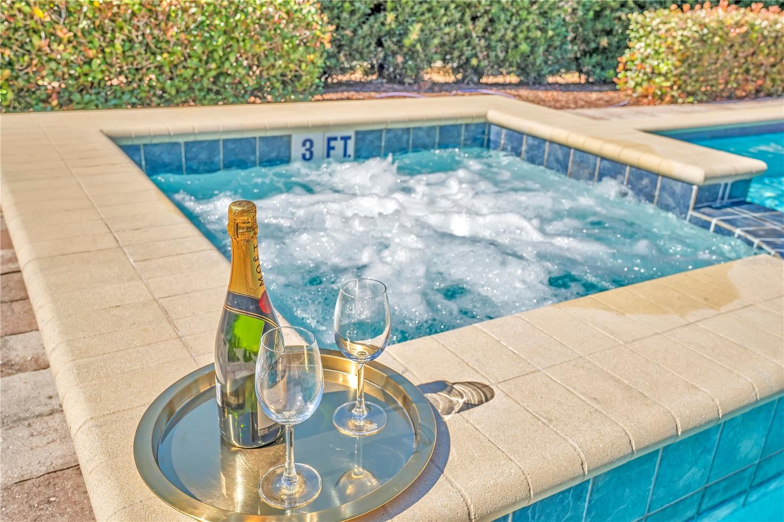 Relaxing spa feature overlooking the pool -perfect for evening enjoyment after a day at the parks. - 631 LASSO DR, KISSIMMEE