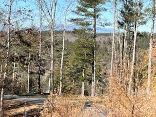 Lot at 1144 Lakeside Way NW, Valdese, photo 4 of 9
