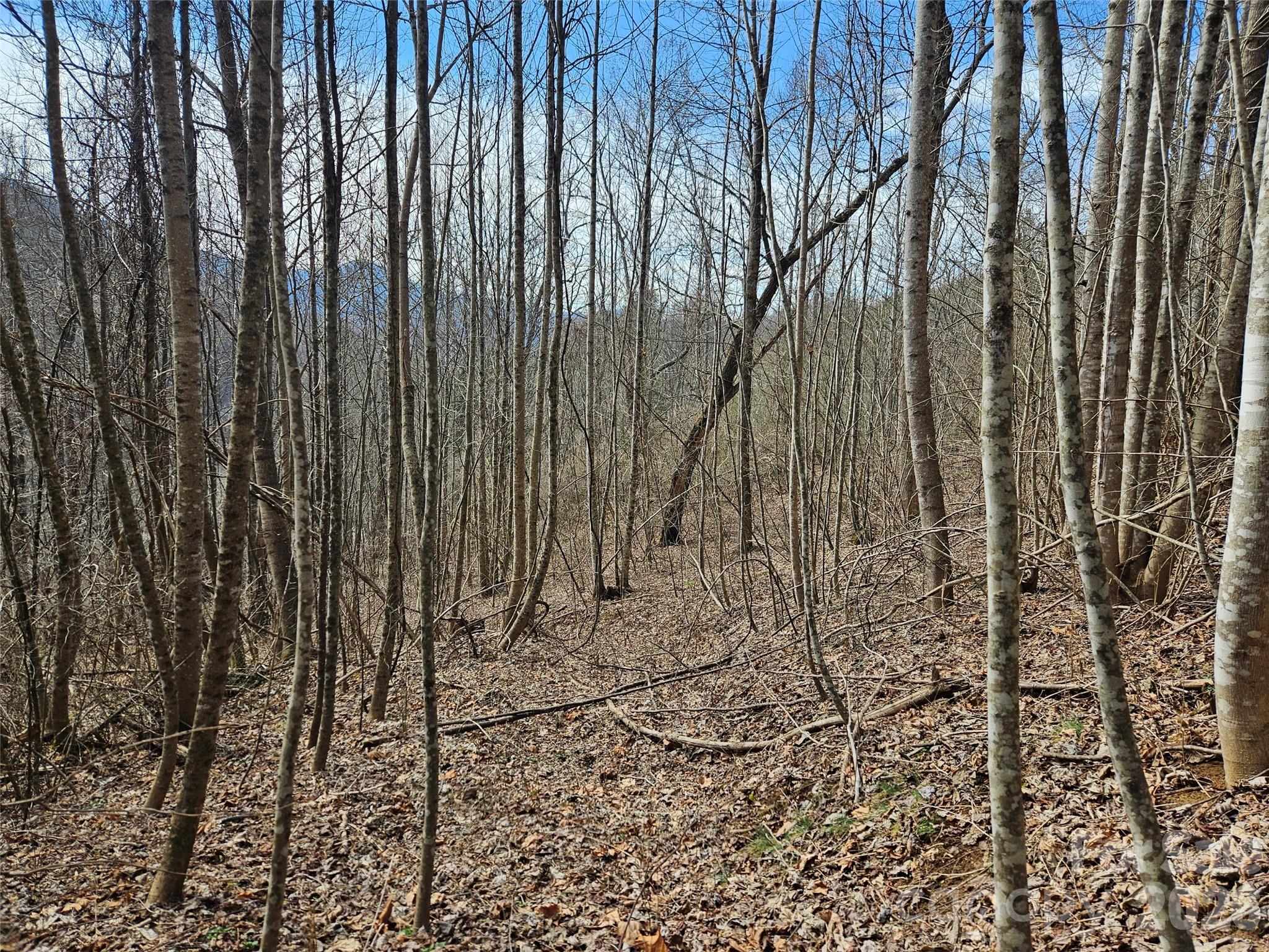 Acreage at 0 Woodfin Road, Sylva, photo 2 of 8