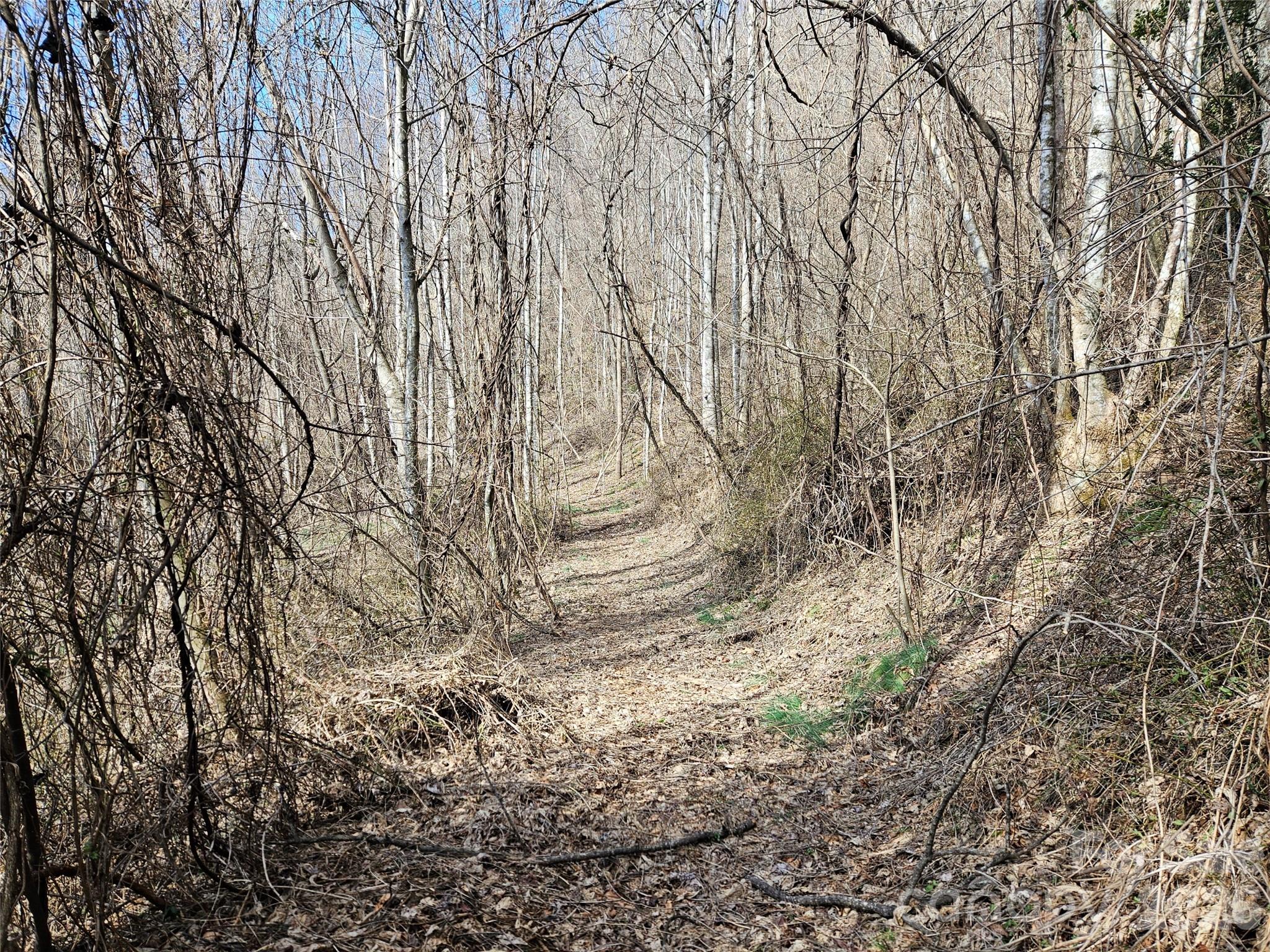 Acreage at 0 Woodfin Road, Sylva, photo 3 of 8