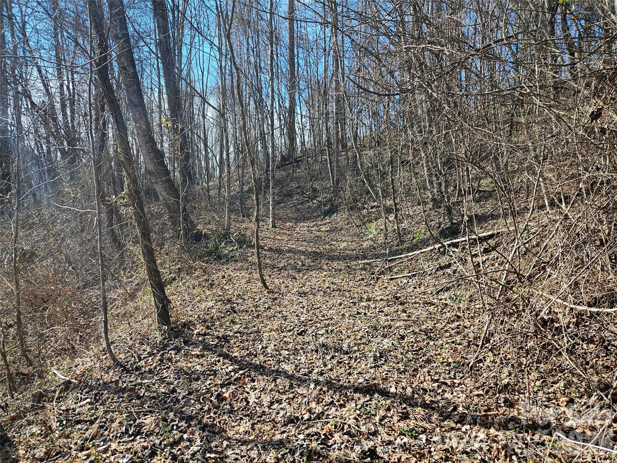 Acreage at 0 Woodfin Road, Sylva, photo 4 of 8