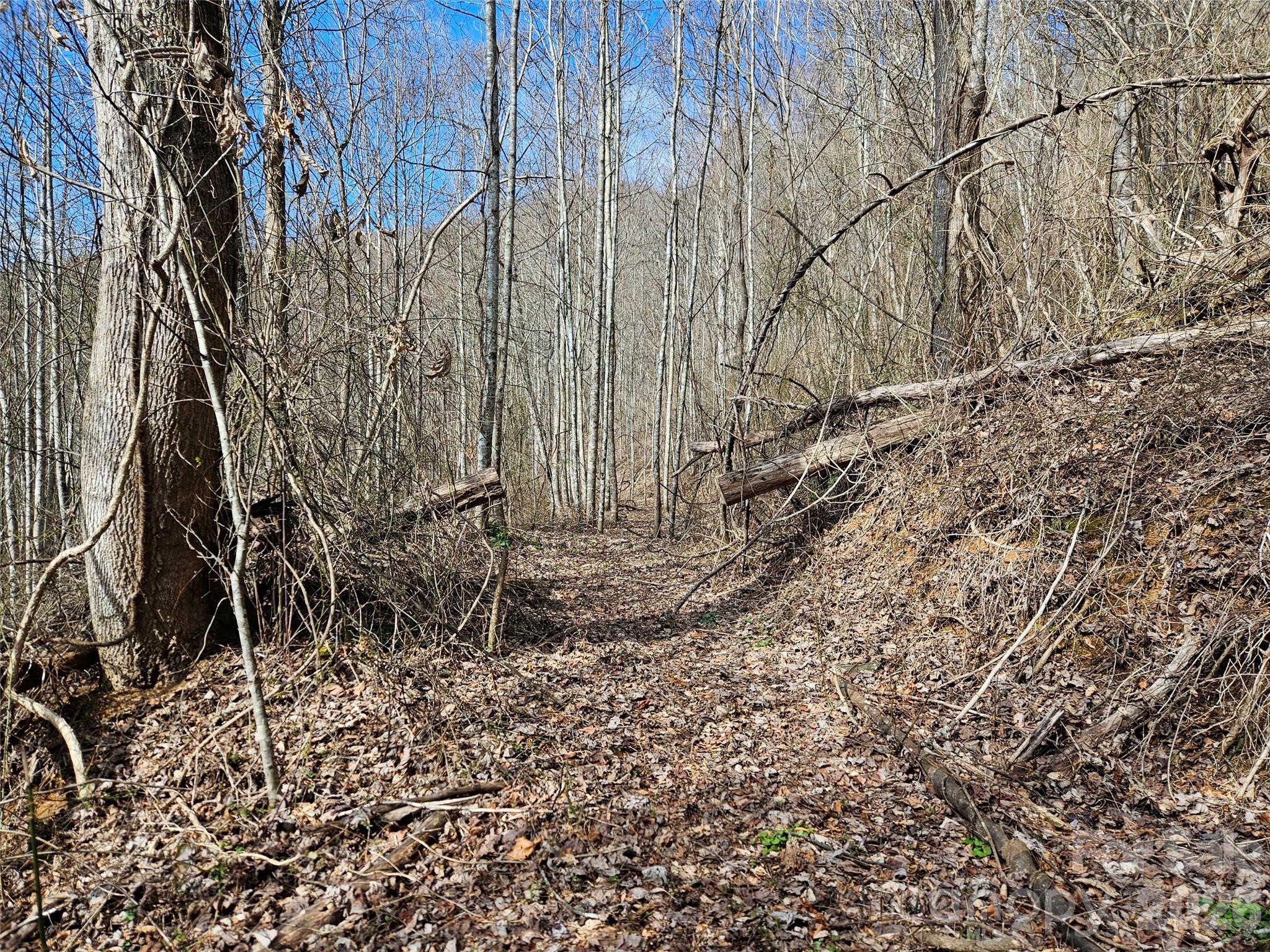 Acreage at 0 Woodfin Road, Sylva, photo 5 of 8