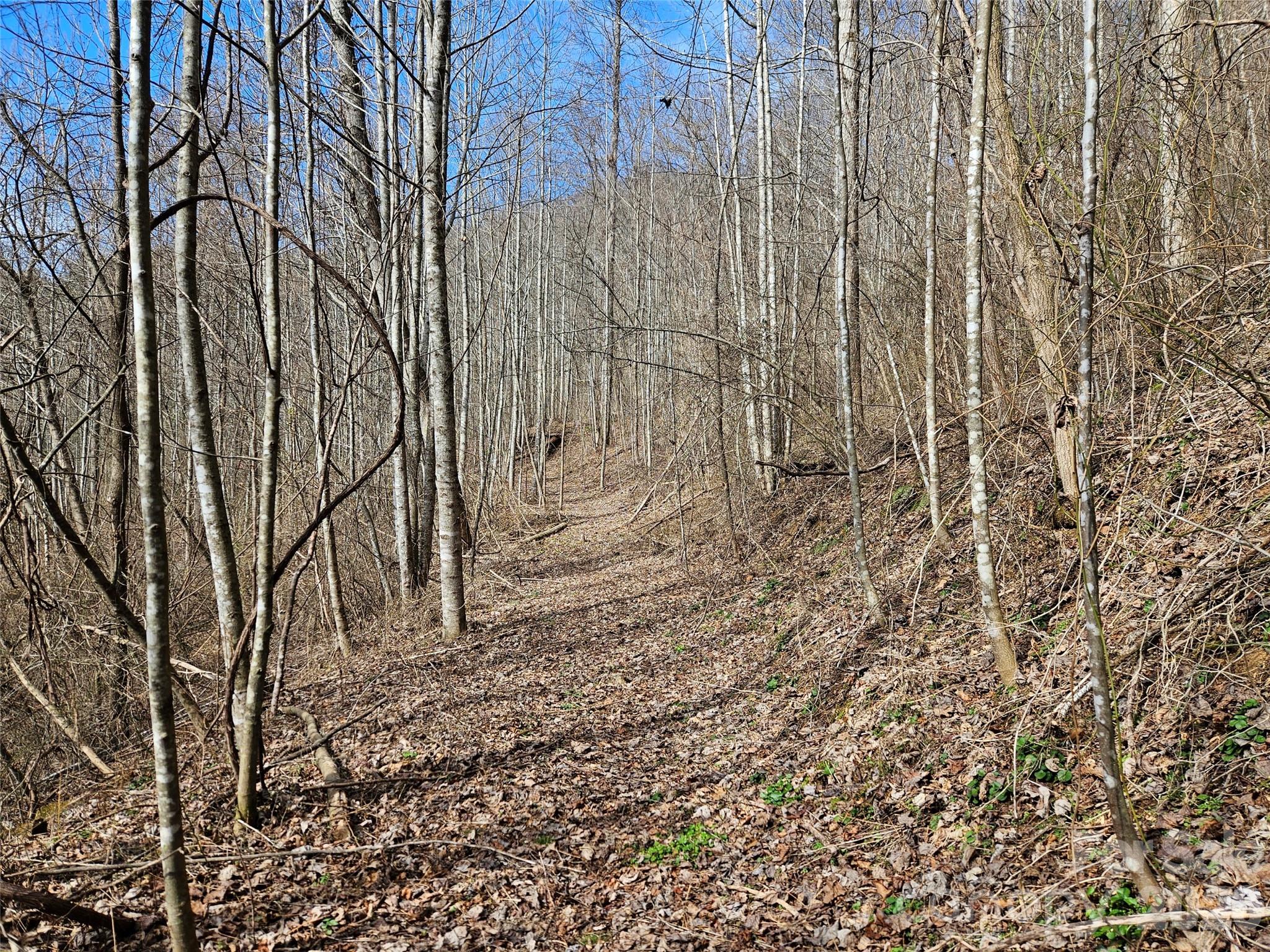 Acreage at 0 Woodfin Road, Sylva, photo 6 of 8