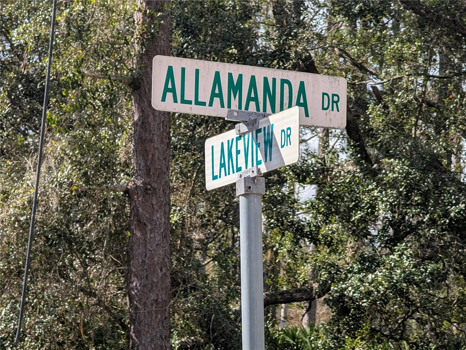 ALLAMANDA DR