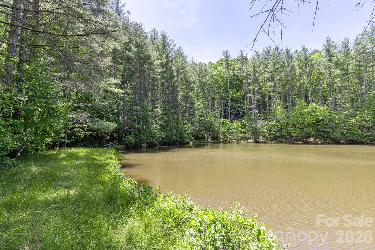 Property borders beautiful pond - 9999 River Edge Drive, Burnsville