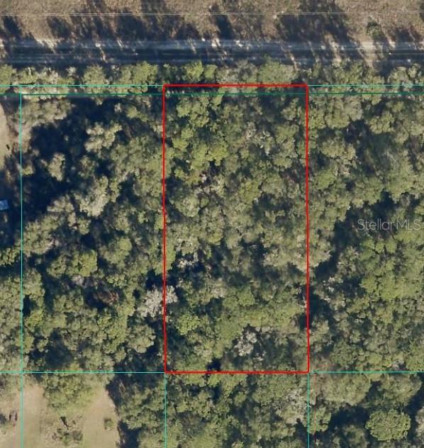 Land at Tract 15 SW 150TH ST, DUNNELLON, photo 3 of 3