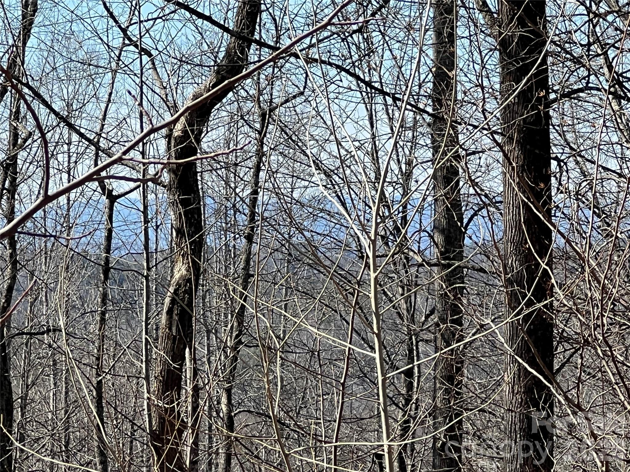 Potentail View wth tree cutting - 521 Timber Rock Drive, Lenoir