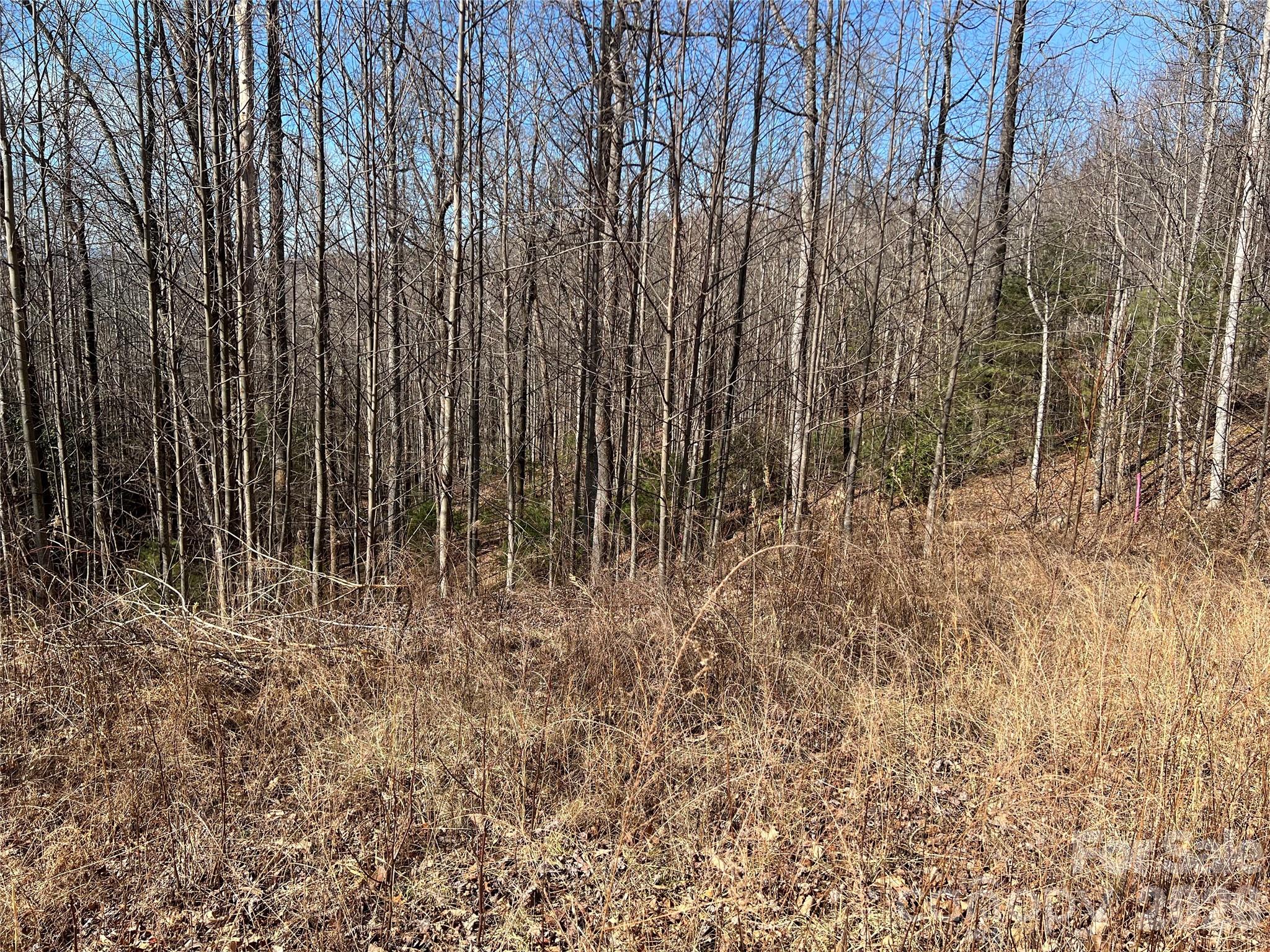 Lot at 521 Timber Rock Drive, Lenoir, photo 4 of 27