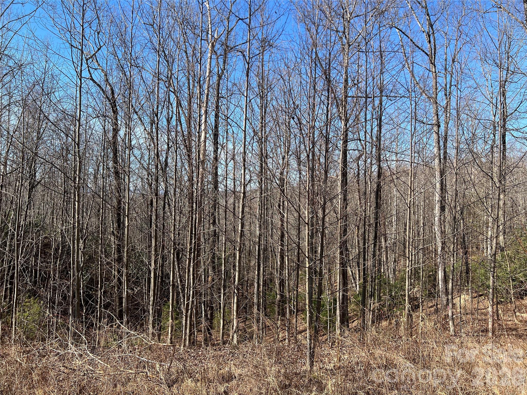 Lot at 521 Timber Rock Drive, Lenoir, photo 5 of 27