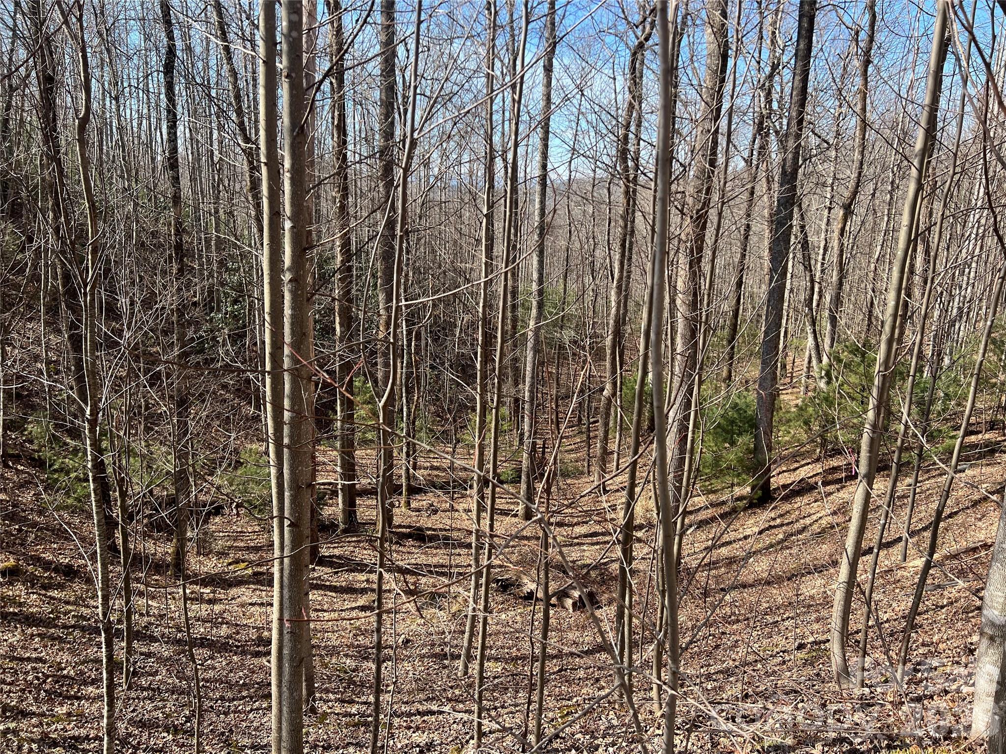 Lot at 521 Timber Rock Drive, Lenoir, photo 6 of 27