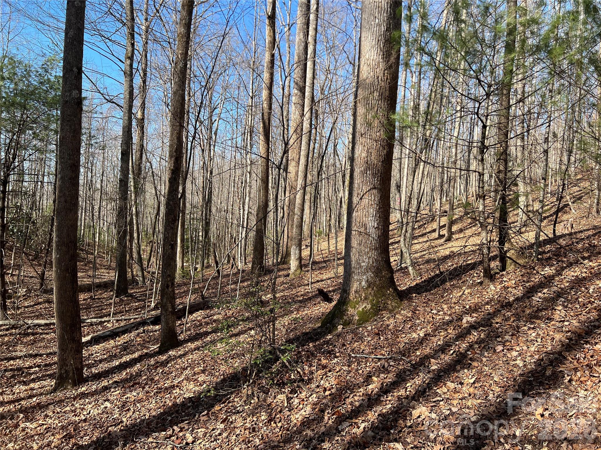 Lot at 521 Timber Rock Drive, Lenoir, photo 8 of 27