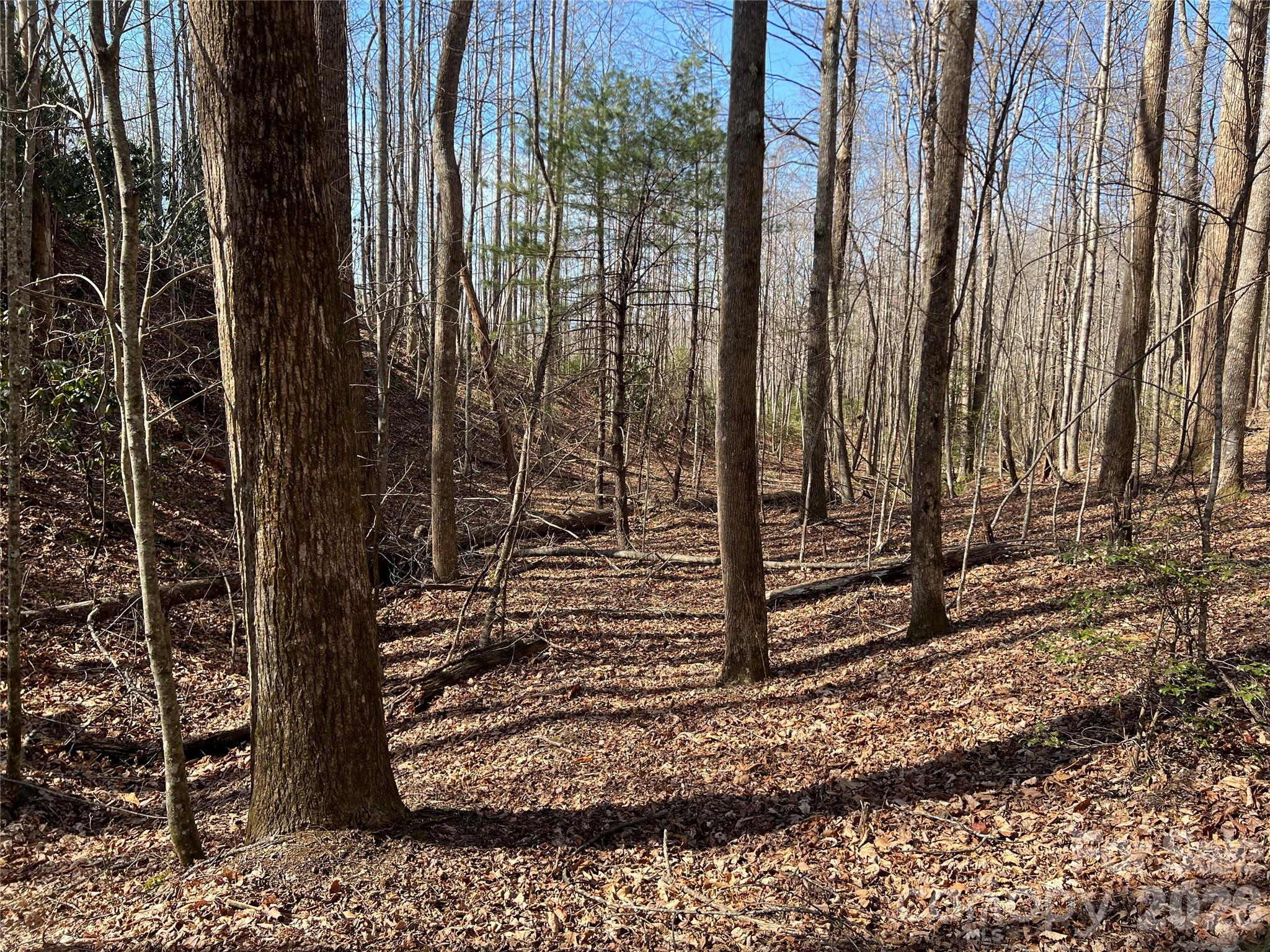 Lot at 521 Timber Rock Drive, Lenoir, photo 9 of 27