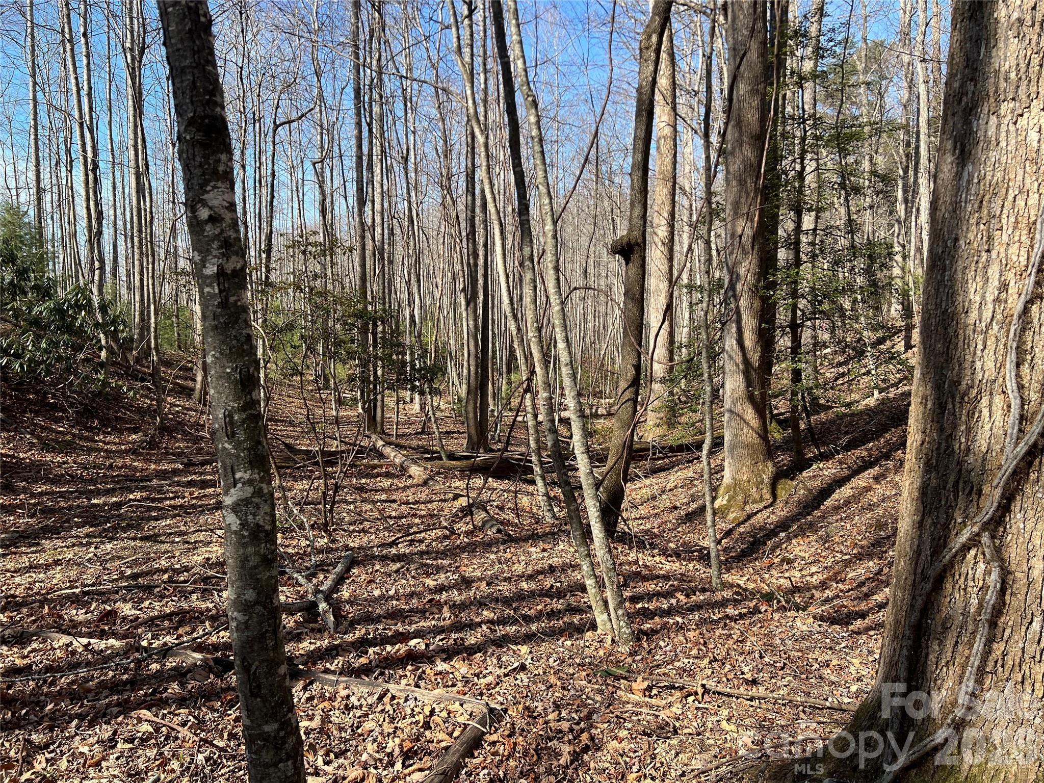 Lot at 521 Timber Rock Drive, Lenoir, photo 11 of 27