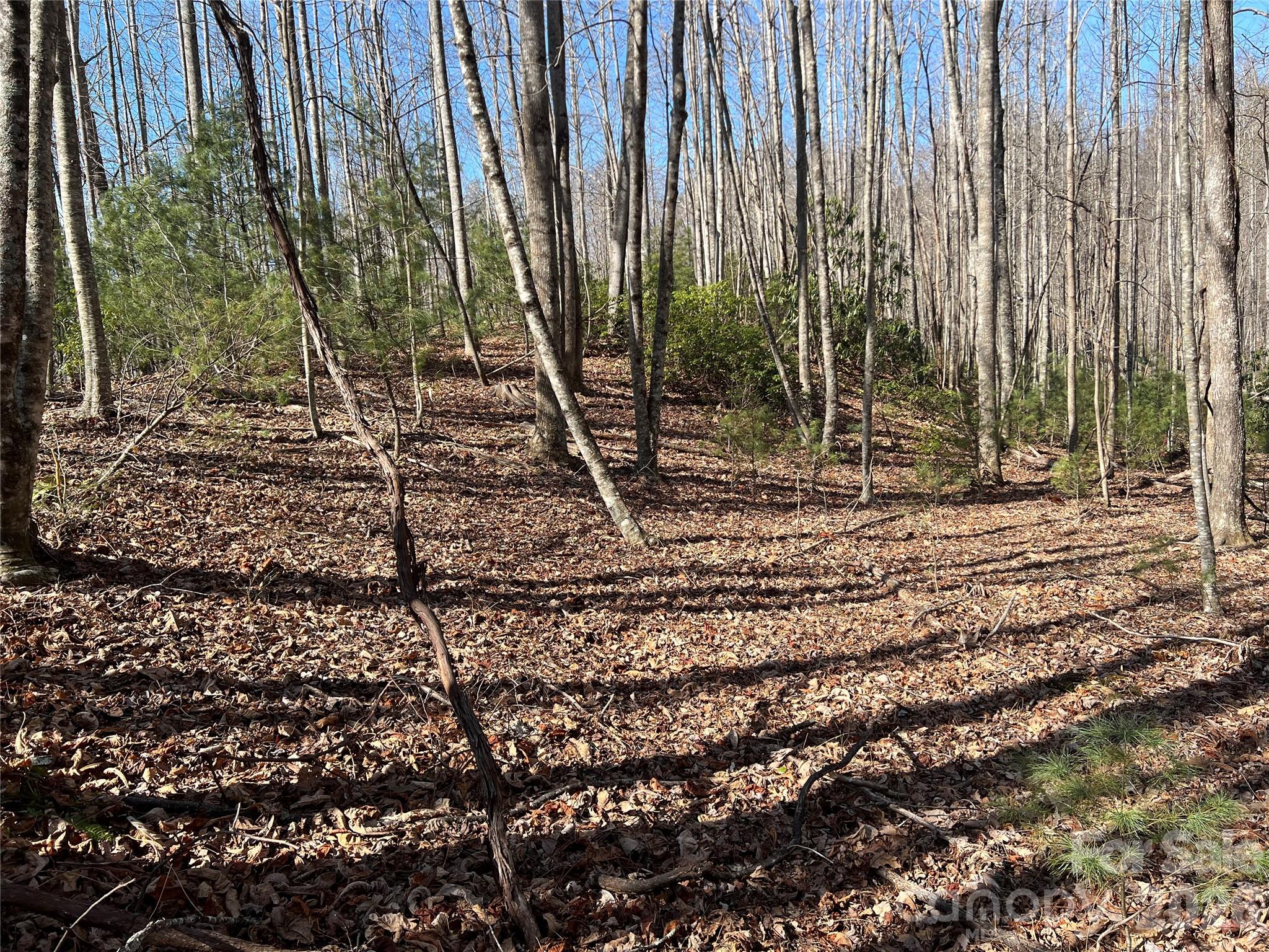 Lot at 521 Timber Rock Drive, Lenoir, photo 12 of 27