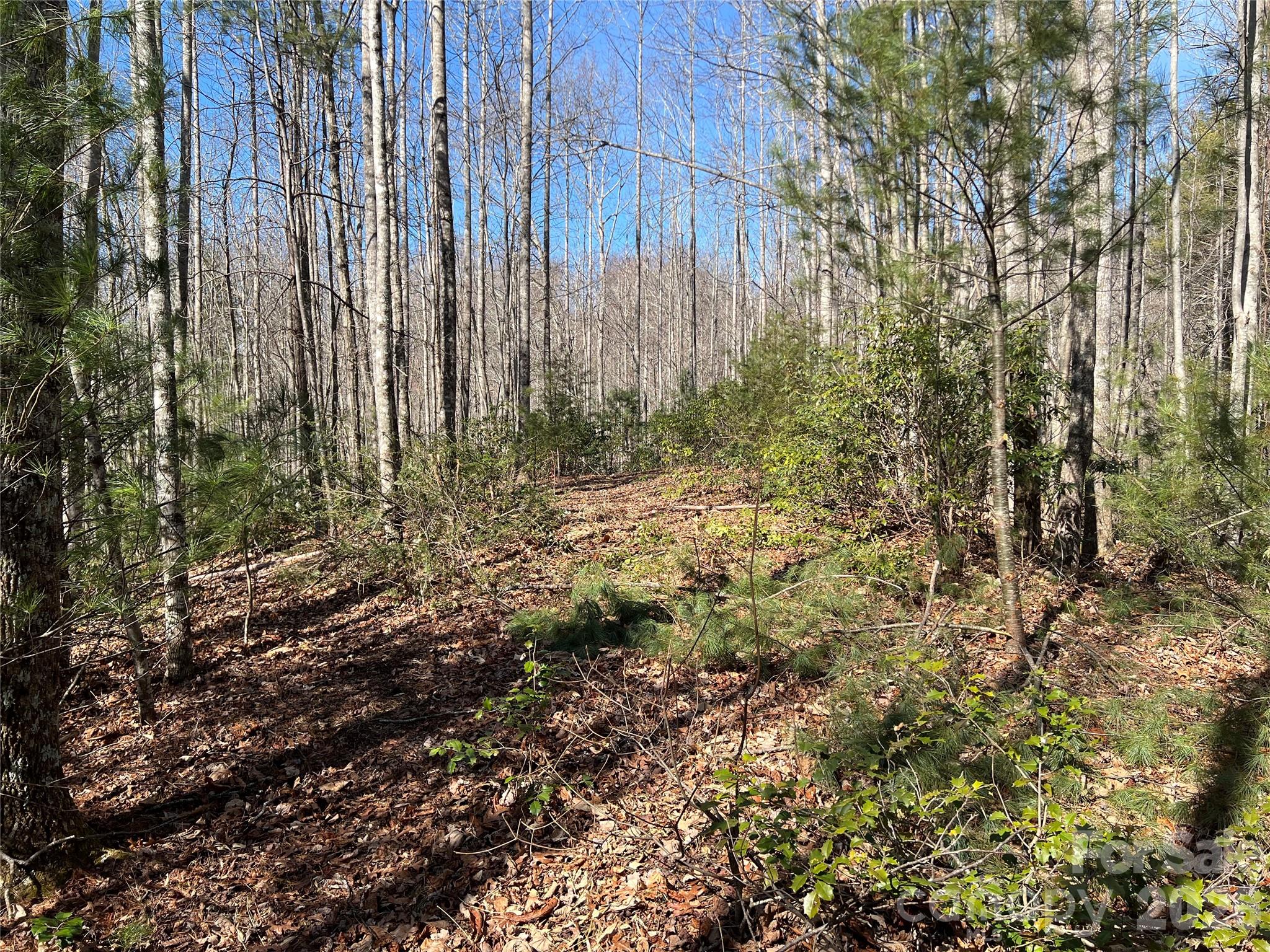 Lot at 521 Timber Rock Drive, Lenoir, photo 13 of 27