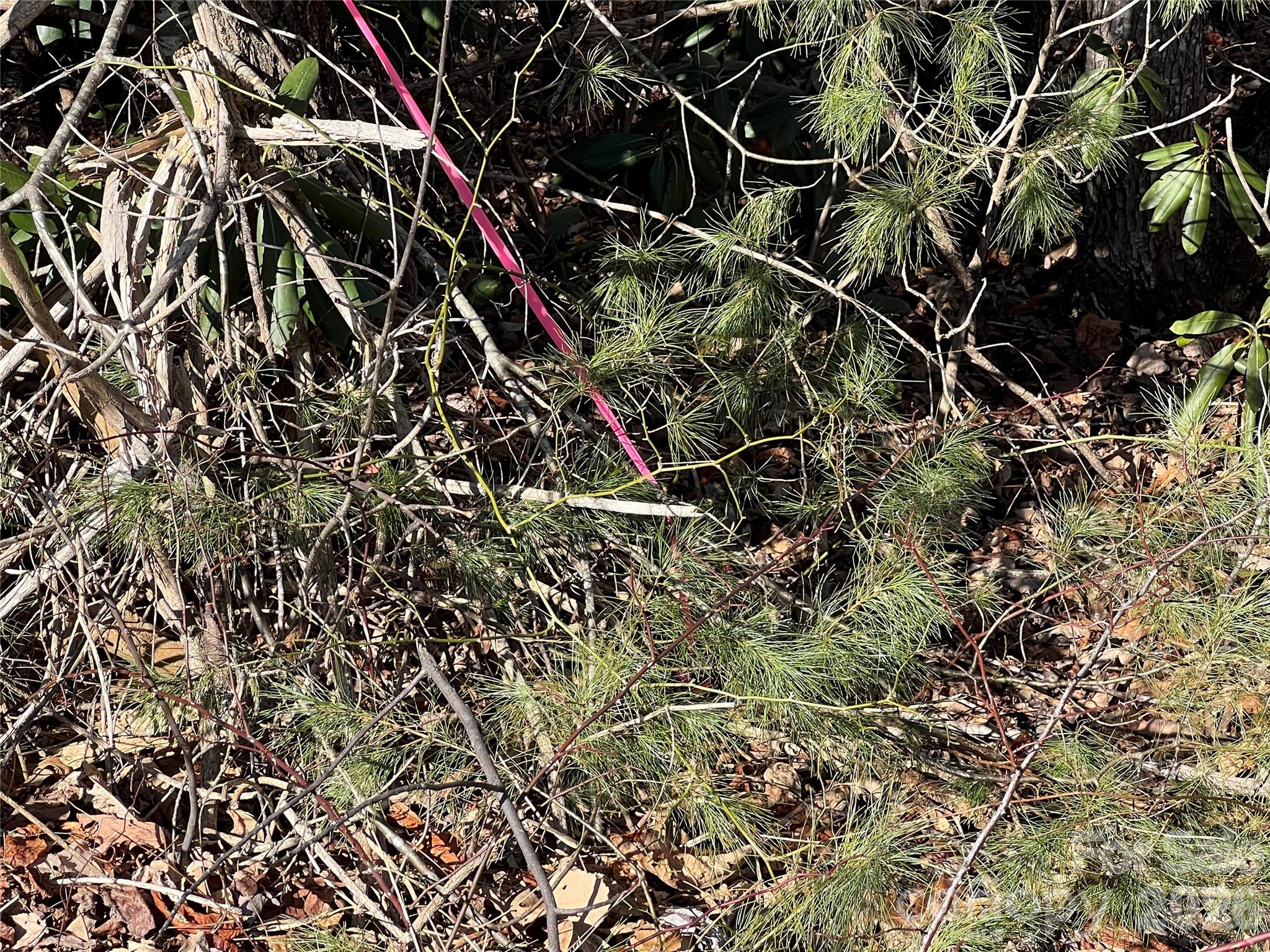 Corner Pin - 521 Timber Rock Drive, Lenoir