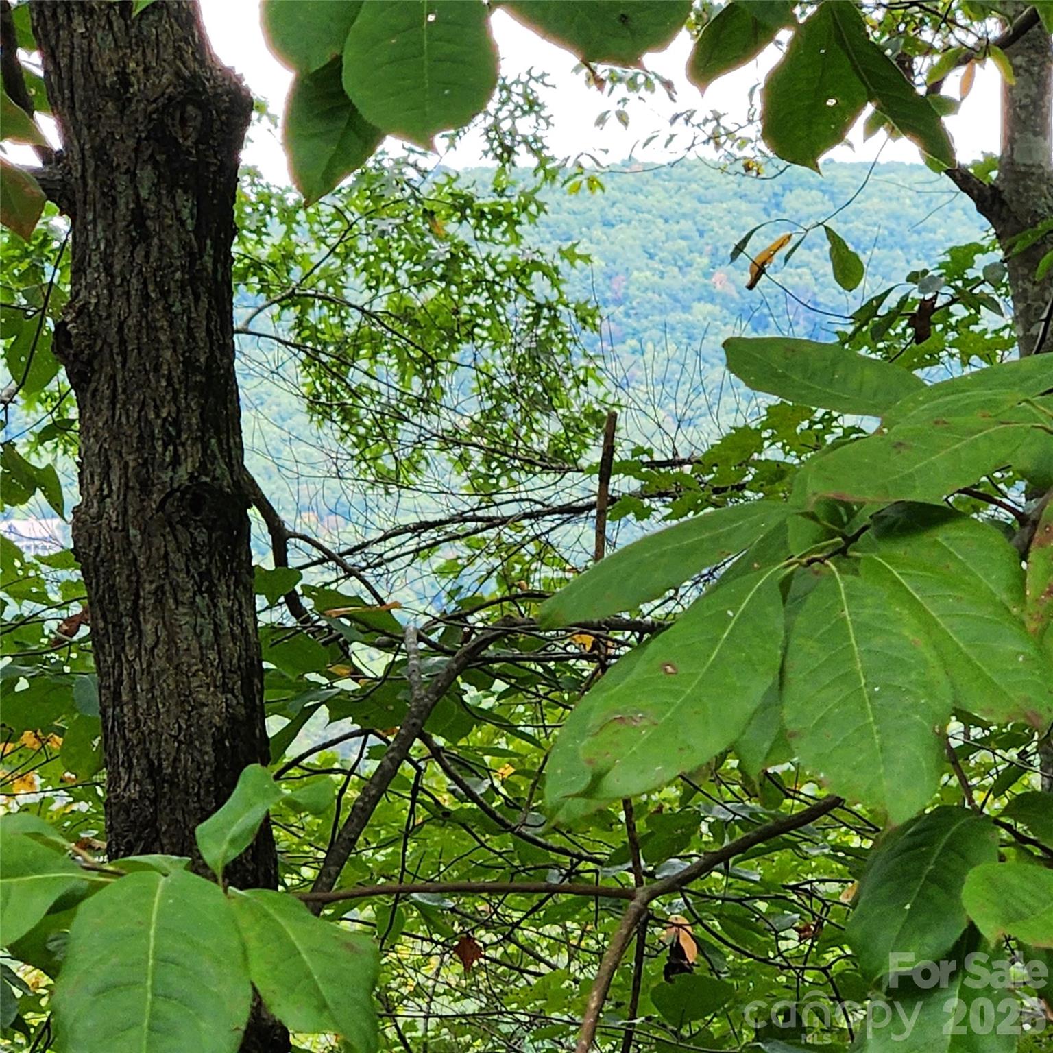 Lot at Lot 11 Waterside Drive, Lake Lure, photo 3 of 23