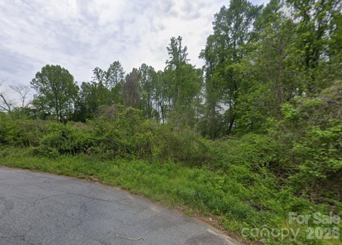 Unimproved Commercial at 16, 17, 18 16th Avenue SE, Conover, photo 8 of 8