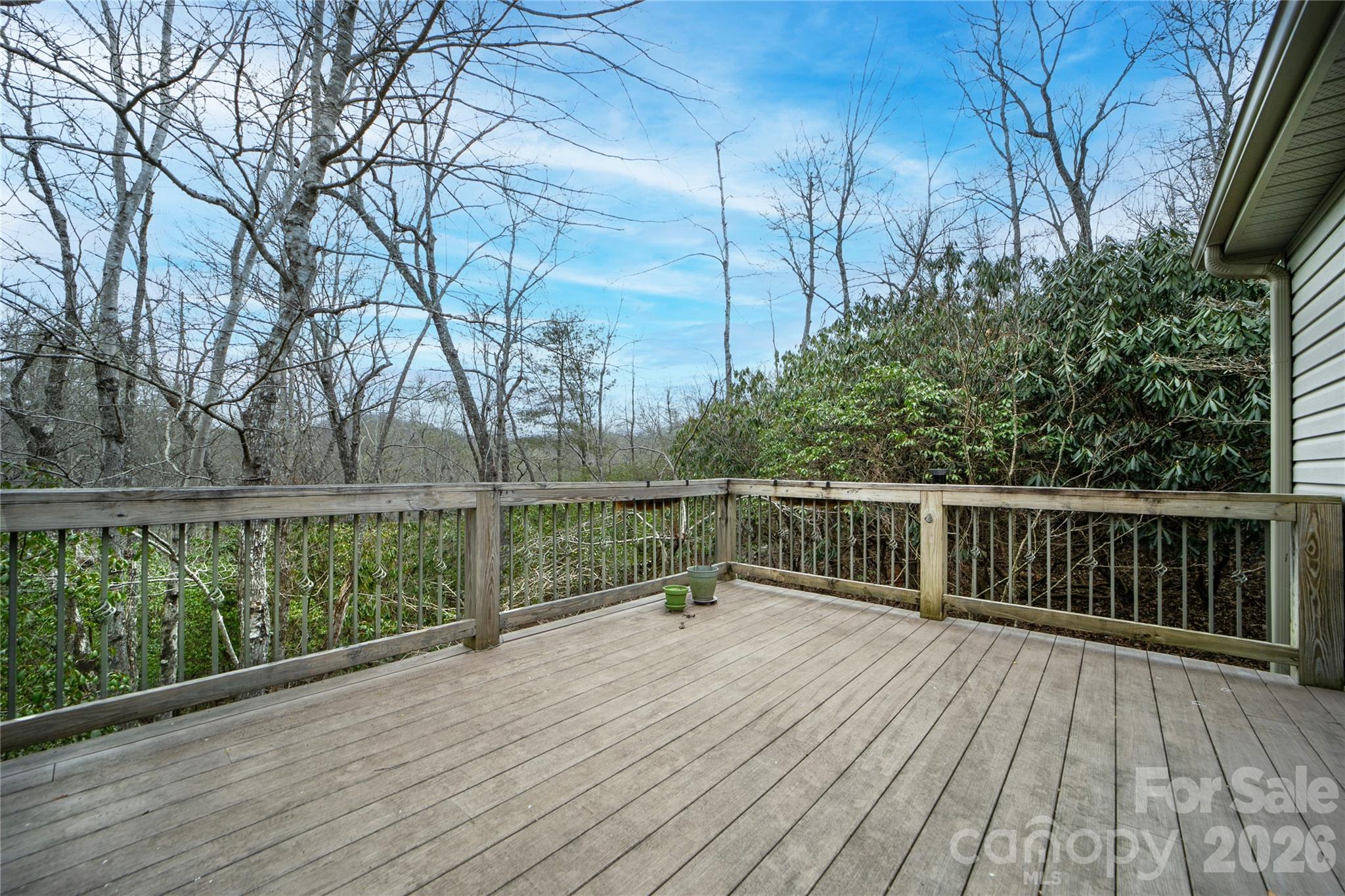 Views of the distant mountains - 126 Gasga Court, Brevard
