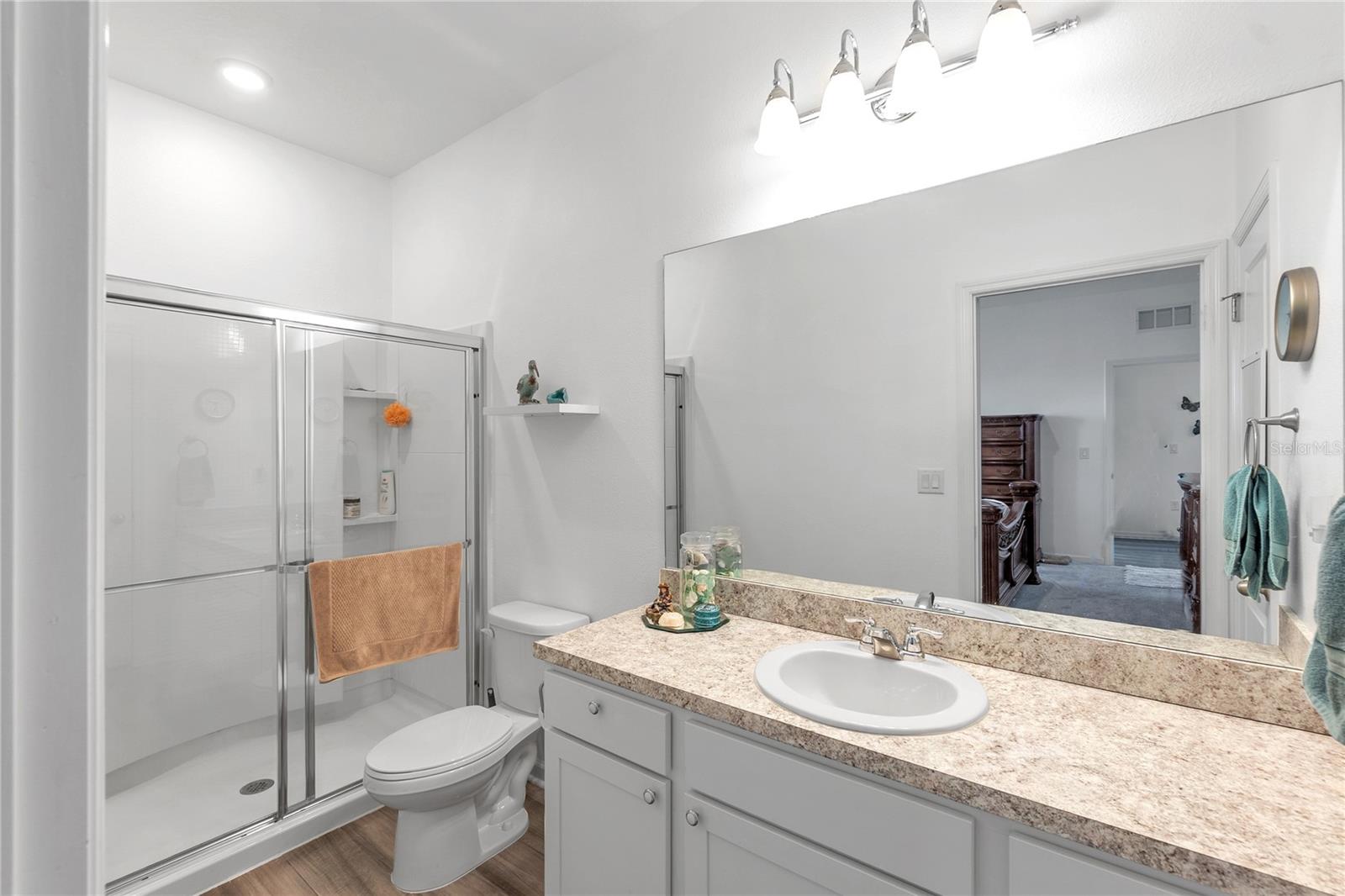 Single Family Residence at 10427 LADYBUG CV, PARRISH, photo 8 of 24