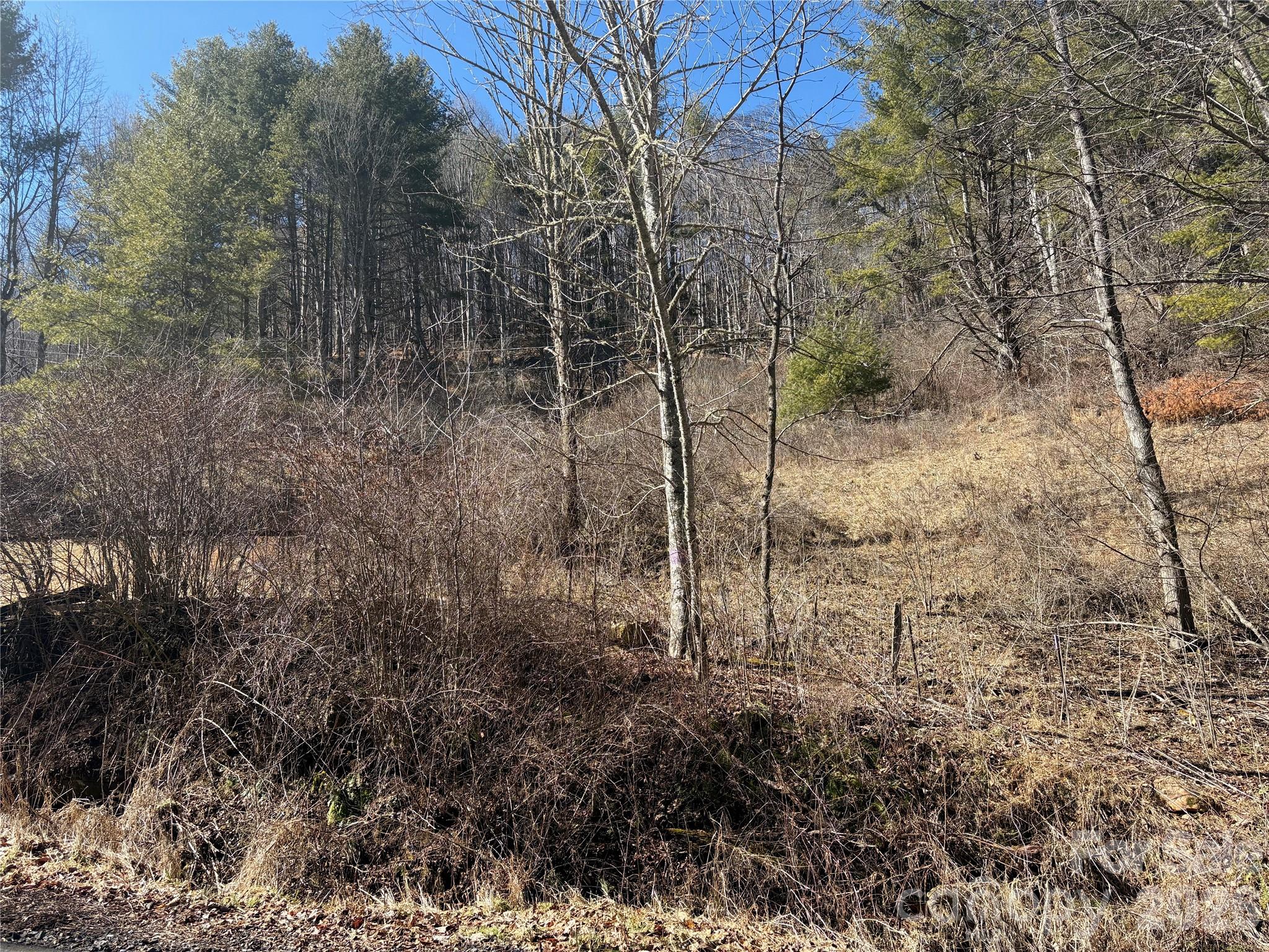 Acreage at 9999 Bee Log Road, Burnsville, photo 3 of 17