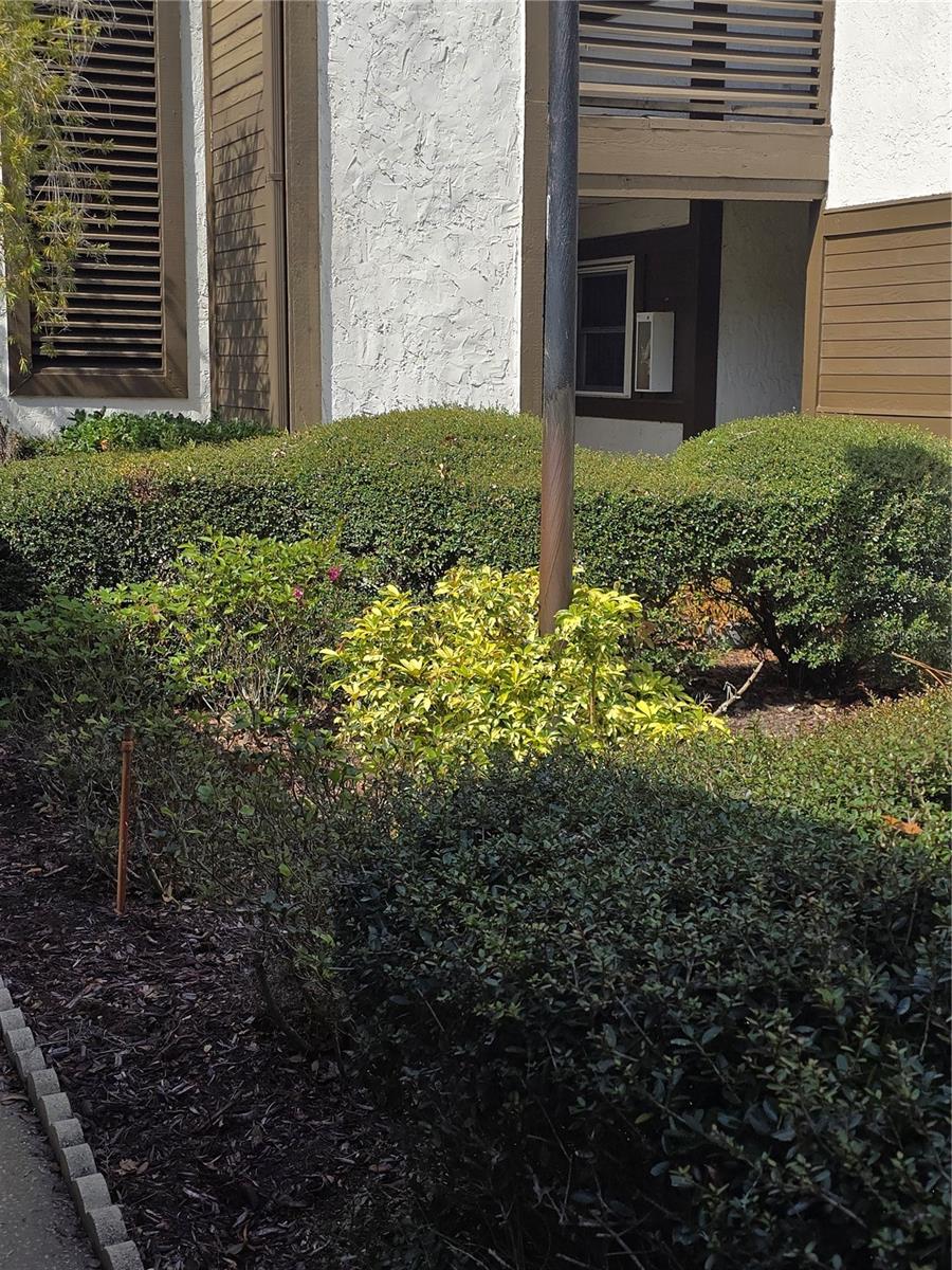 Nicely Landscaped at the front door of the unit - 4140 PASSPORT LN #101, NEW PORT RICHEY