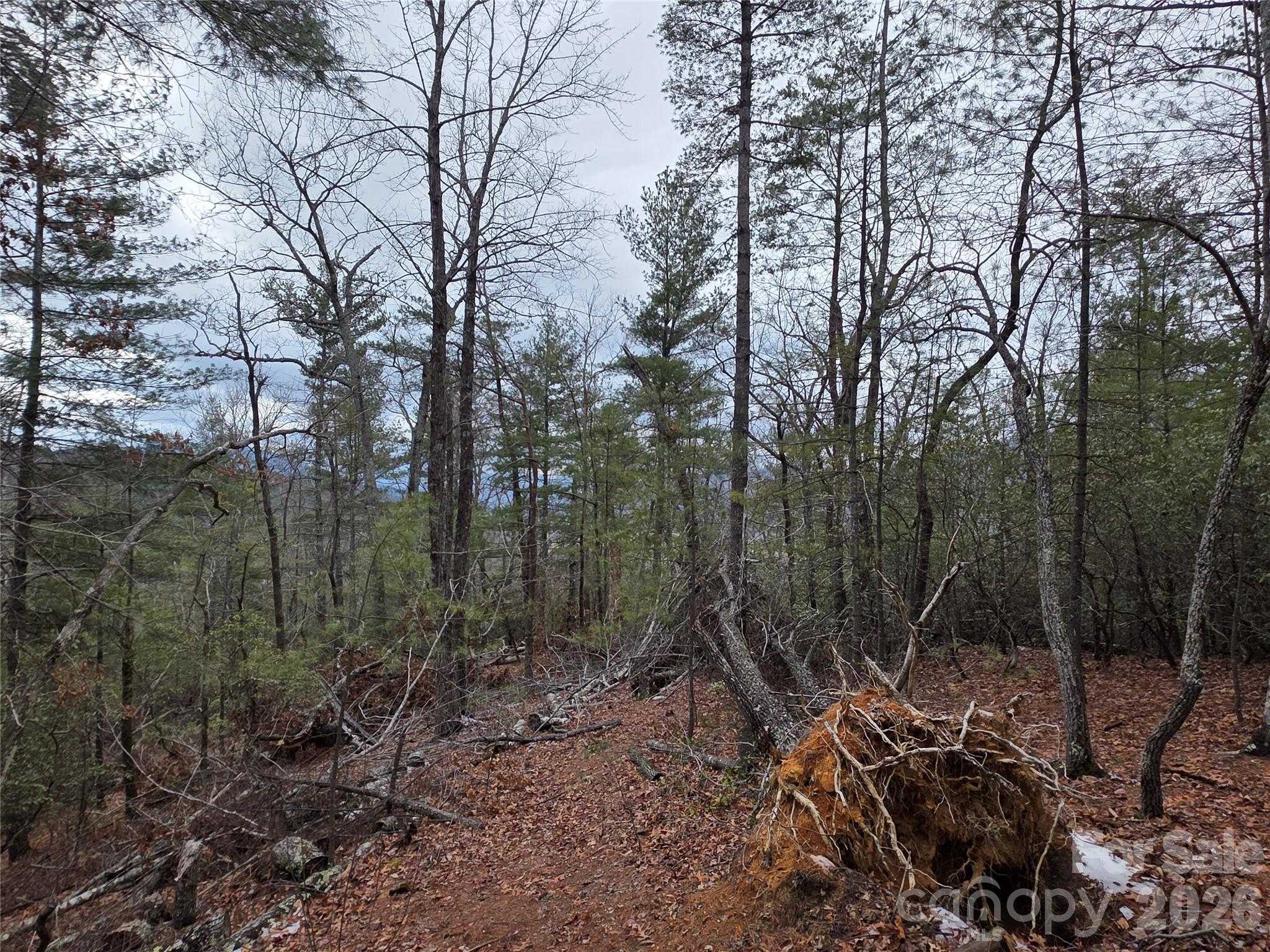 Lot at Lot 24A-28A Quail Drive, Marion, photo 8 of 12