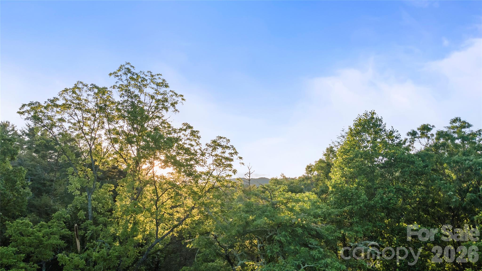 Lot at 99999 Bear Creek Road, Marshall, photo 13 of 22