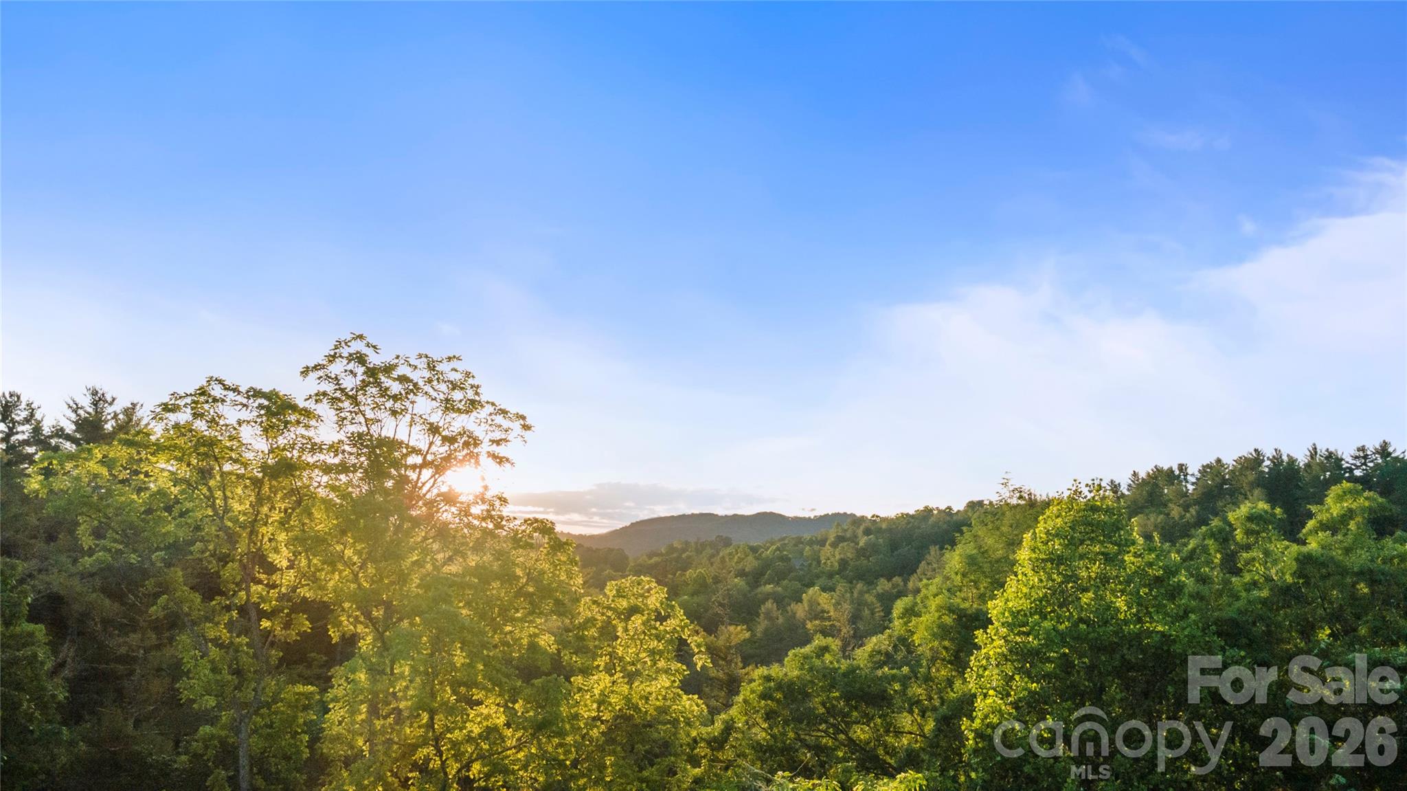 Lot at 99999 Bear Creek Road, Marshall, photo 14 of 22