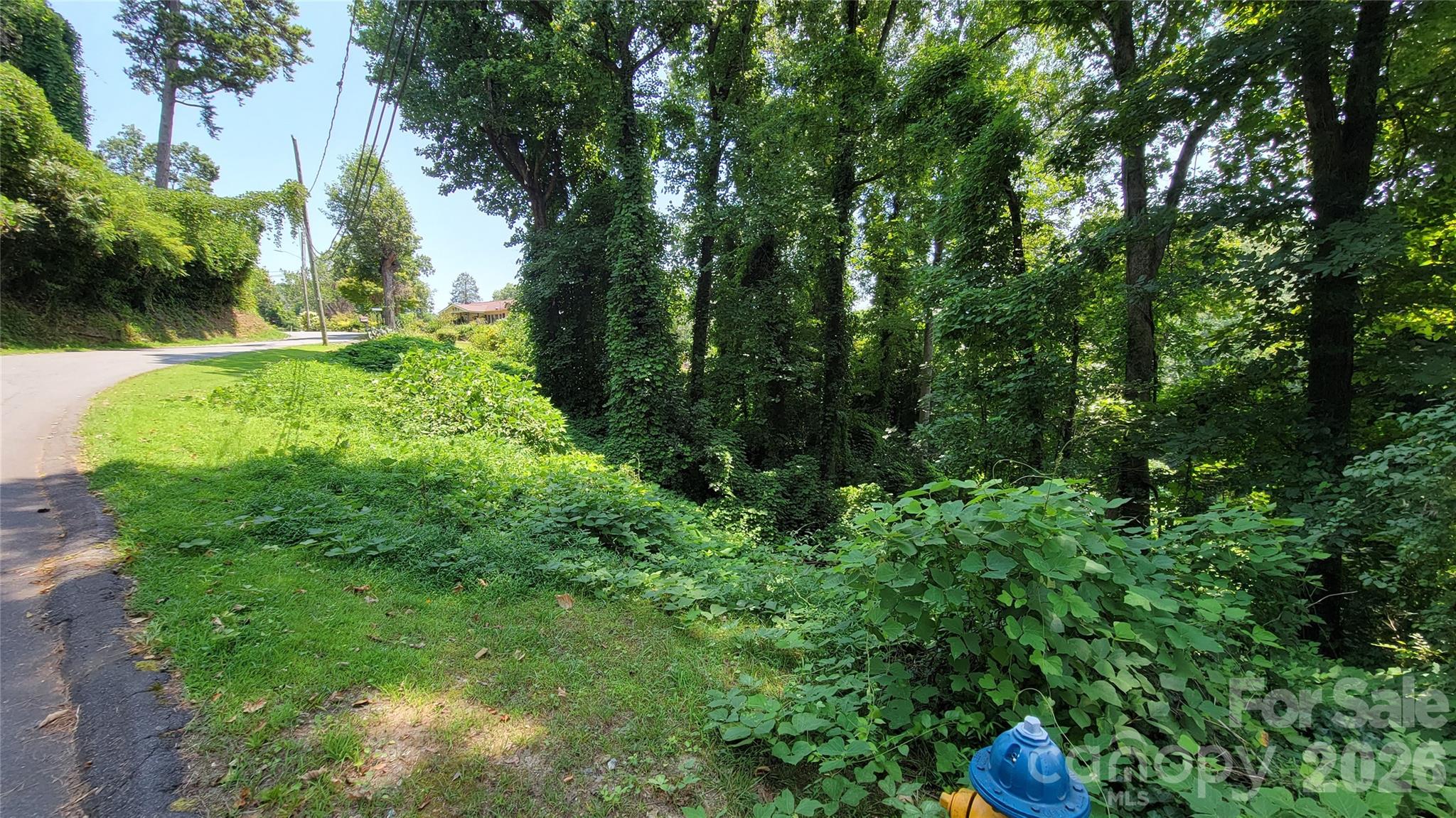 Left lot from parking - 160 Cleveland Road, Tryon