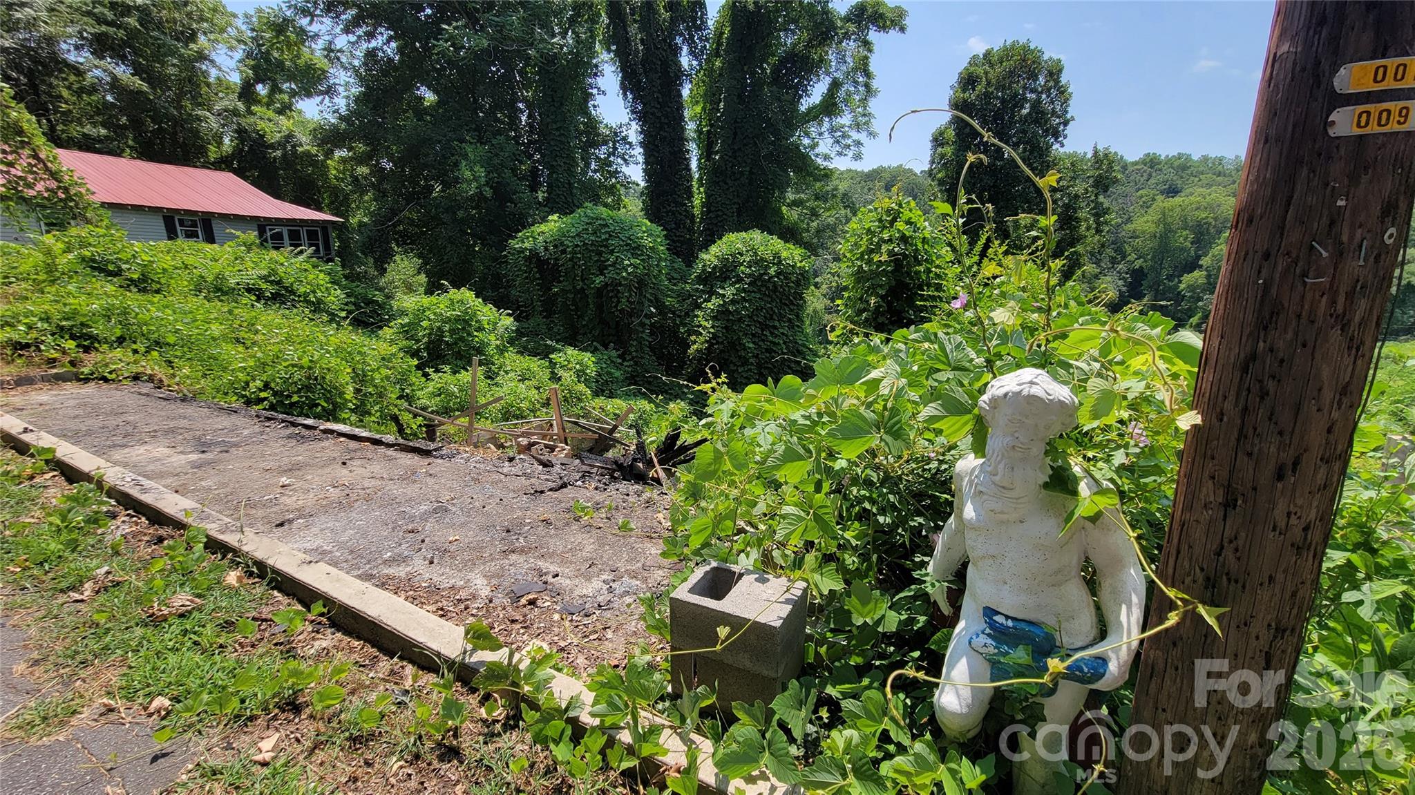 Right lot - 160 Cleveland Road, Tryon