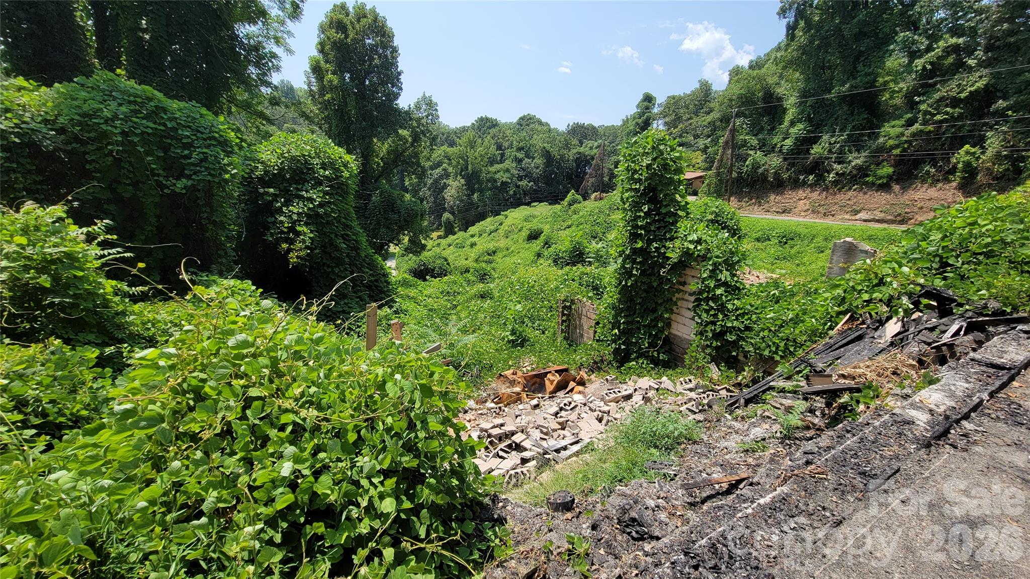 Right lot - 160 Cleveland Road, Tryon