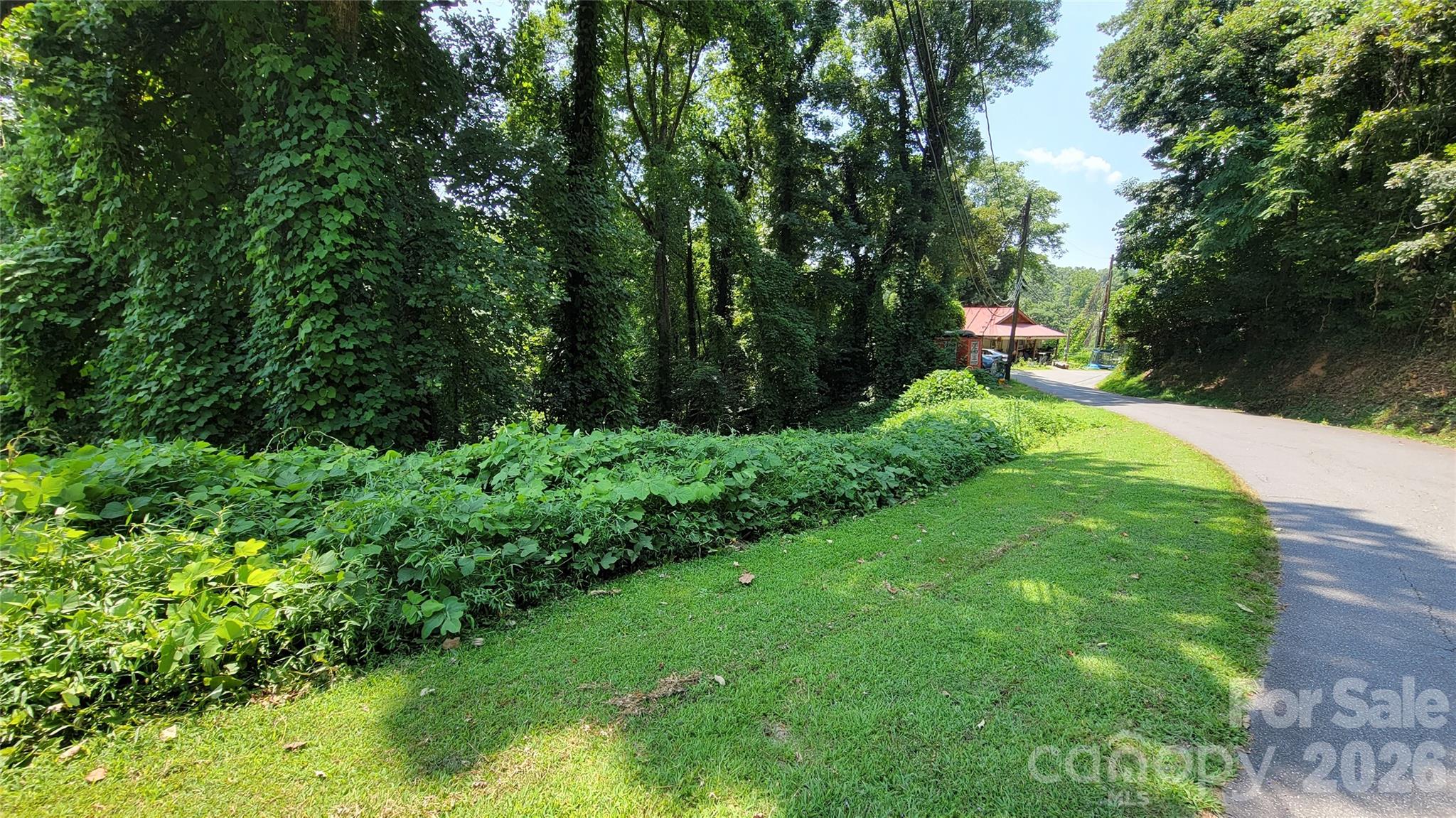 left lot - 160 Cleveland Road, Tryon