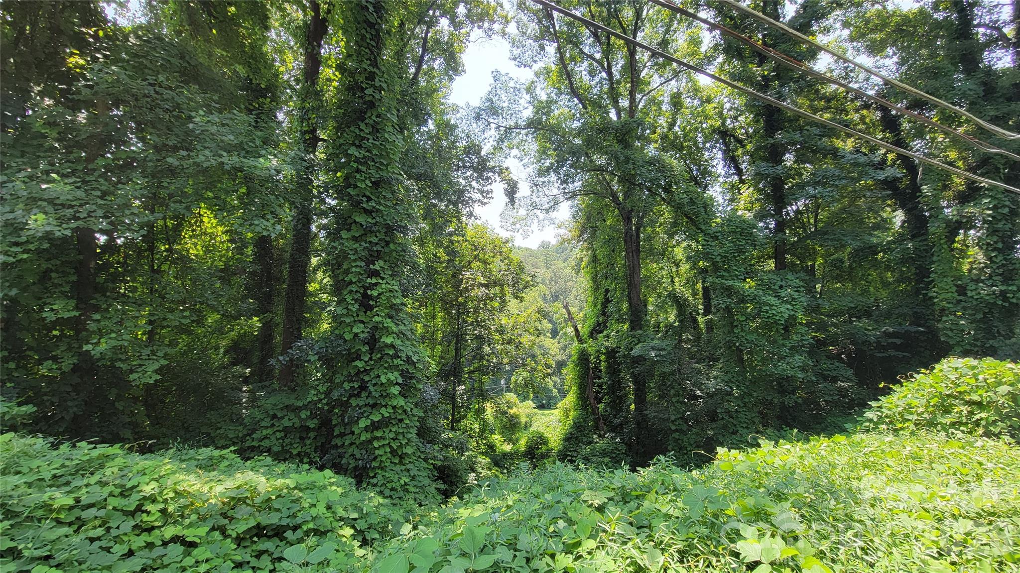 left lot - 160 Cleveland Road, Tryon
