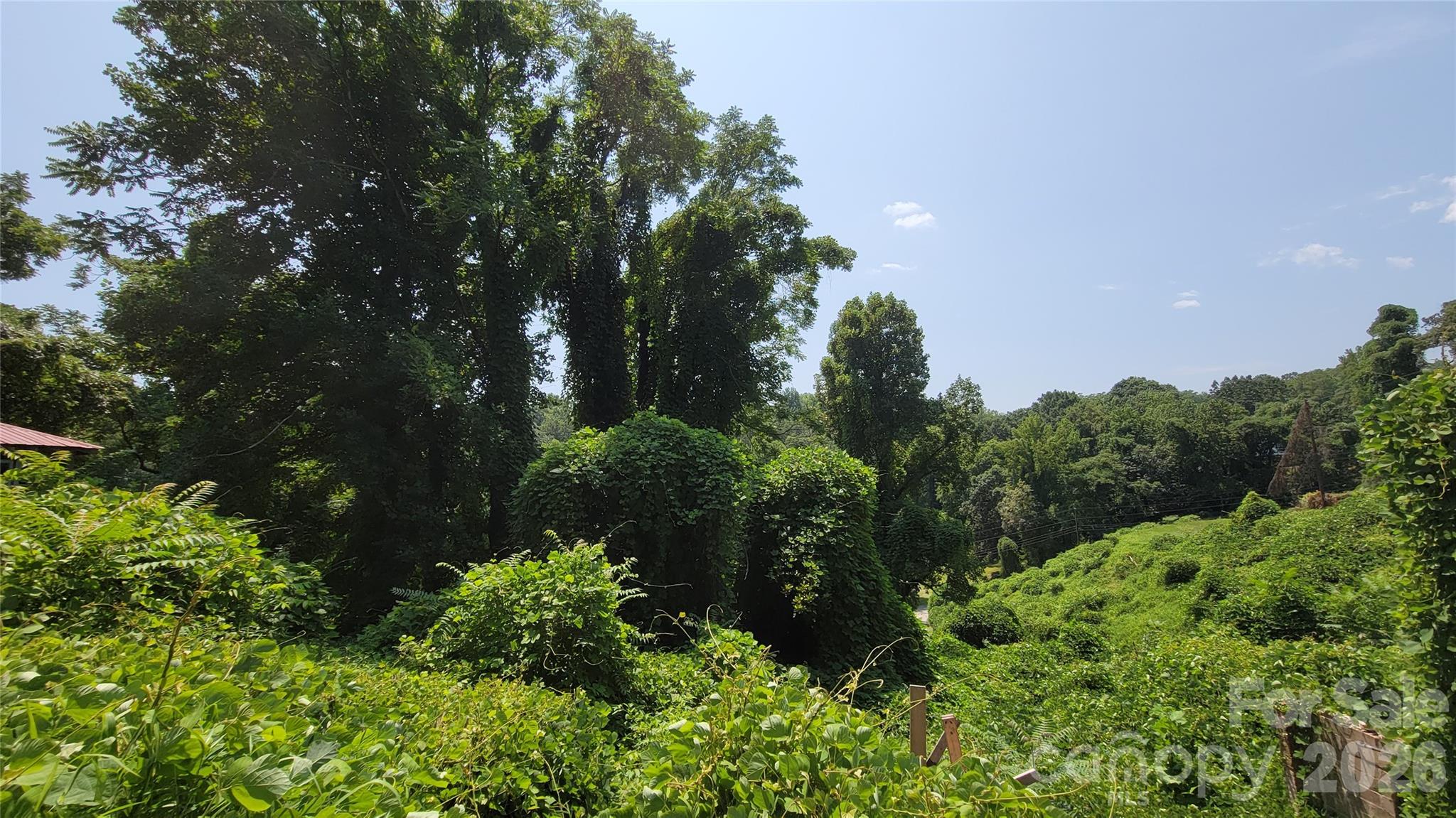 left lot - 160 Cleveland Road, Tryon