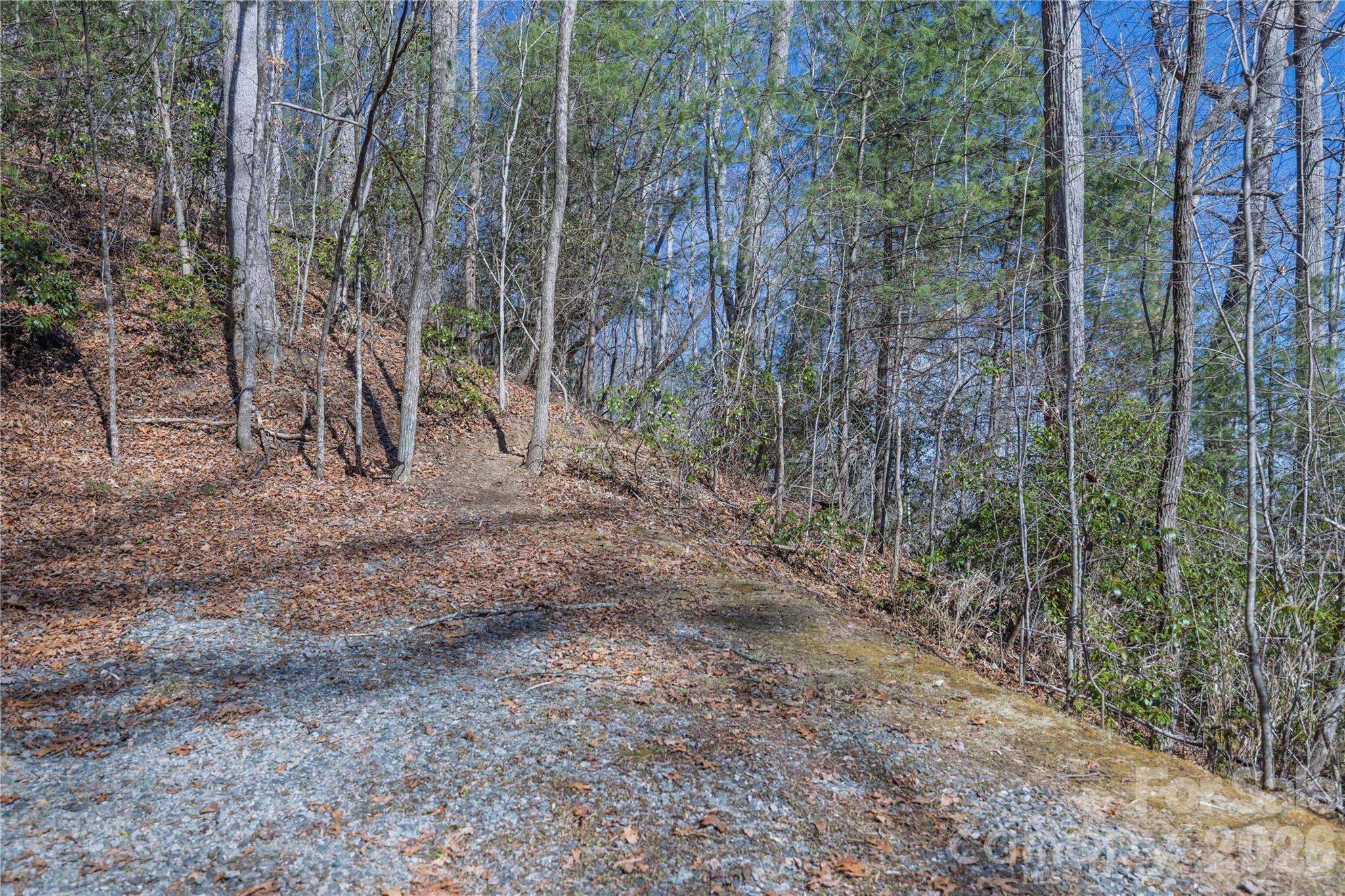 Lot at 33 High Point Trail, Brevard, photo 16 of 26