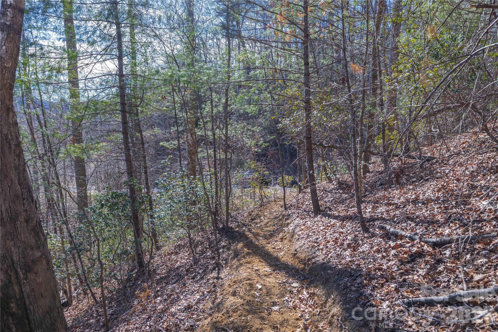 Lot at 33 High Point Trail, Brevard, photo 17 of 26