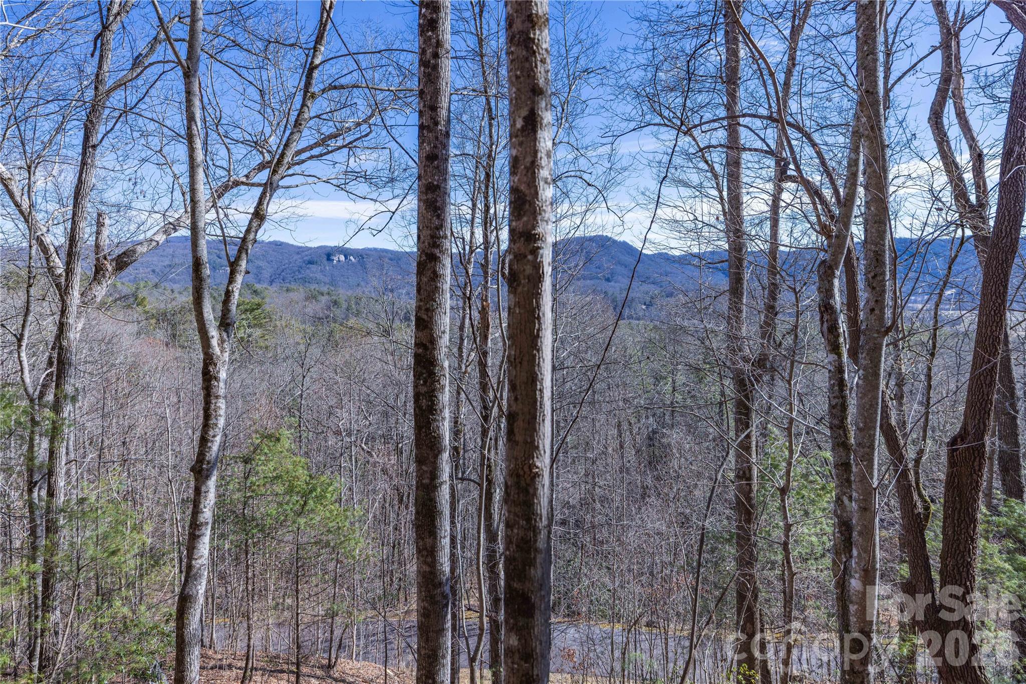 Lot at 33 High Point Trail, Brevard, photo 18 of 26