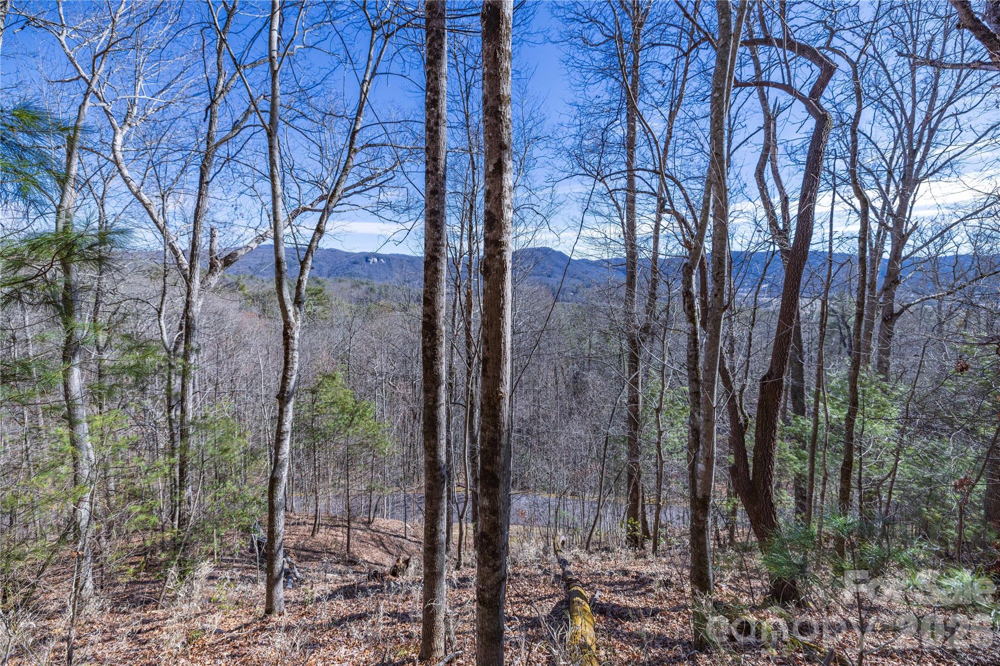 Lot at 33 High Point Trail, Brevard, photo 19 of 26