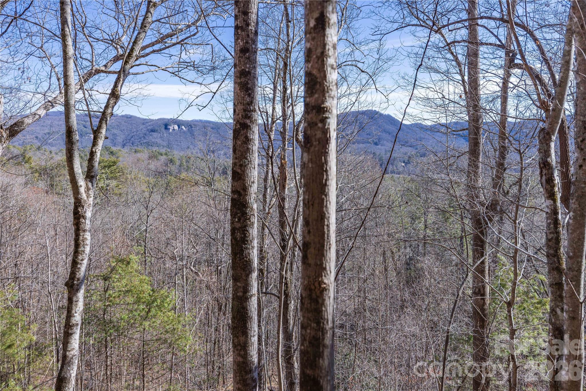 Lot at 33 High Point Trail, Brevard, photo 20 of 26