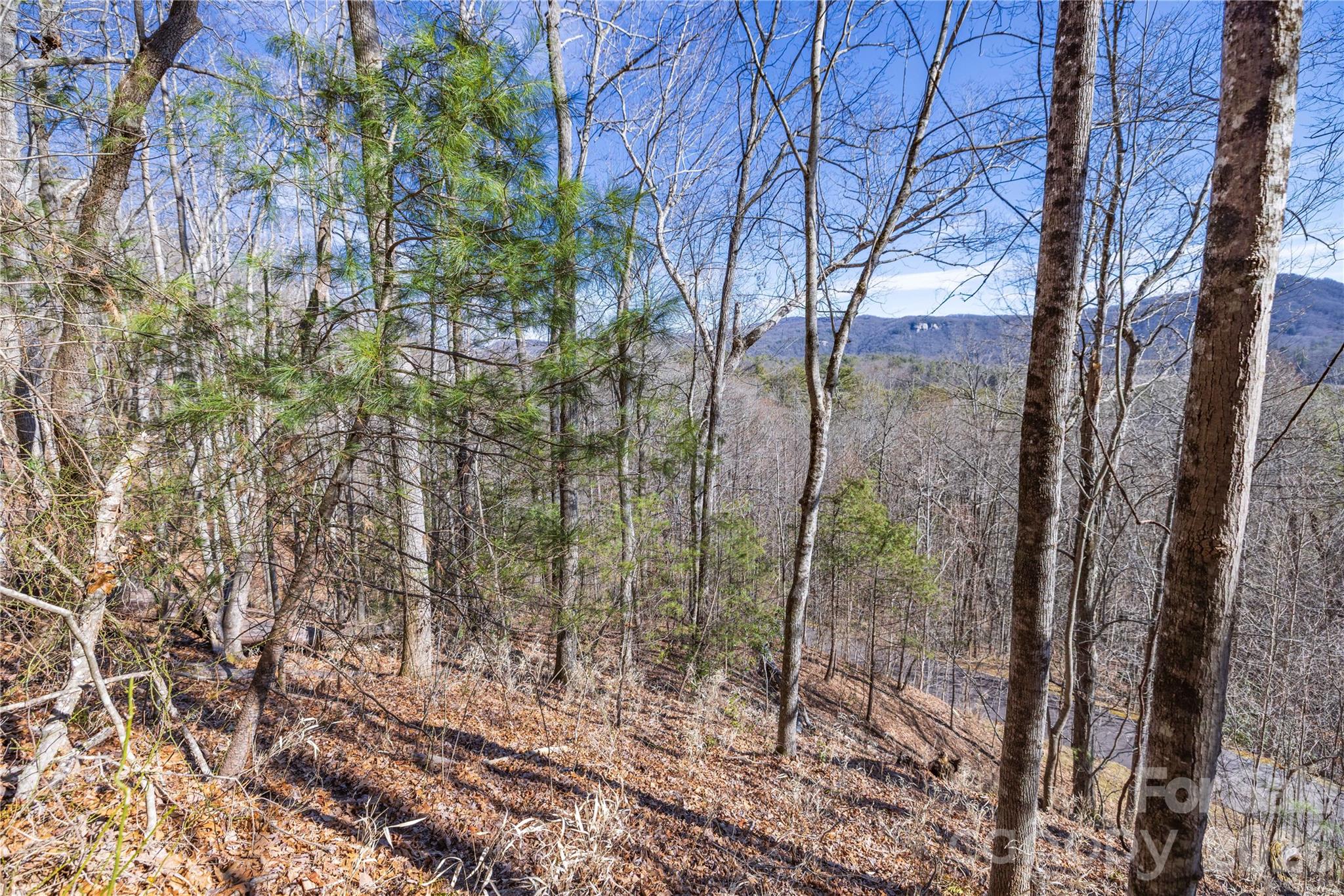Lot at 33 High Point Trail, Brevard, photo 21 of 26