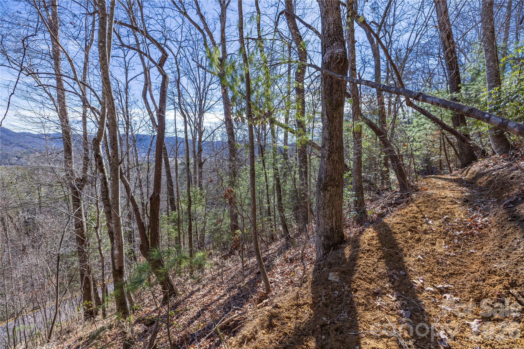 Lot at 33 High Point Trail, Brevard, photo 22 of 26