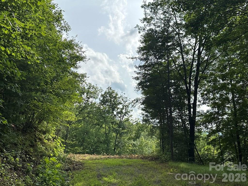 Lot at 87-3 Eagles Flight None, Bryson City, photo 3 of 13