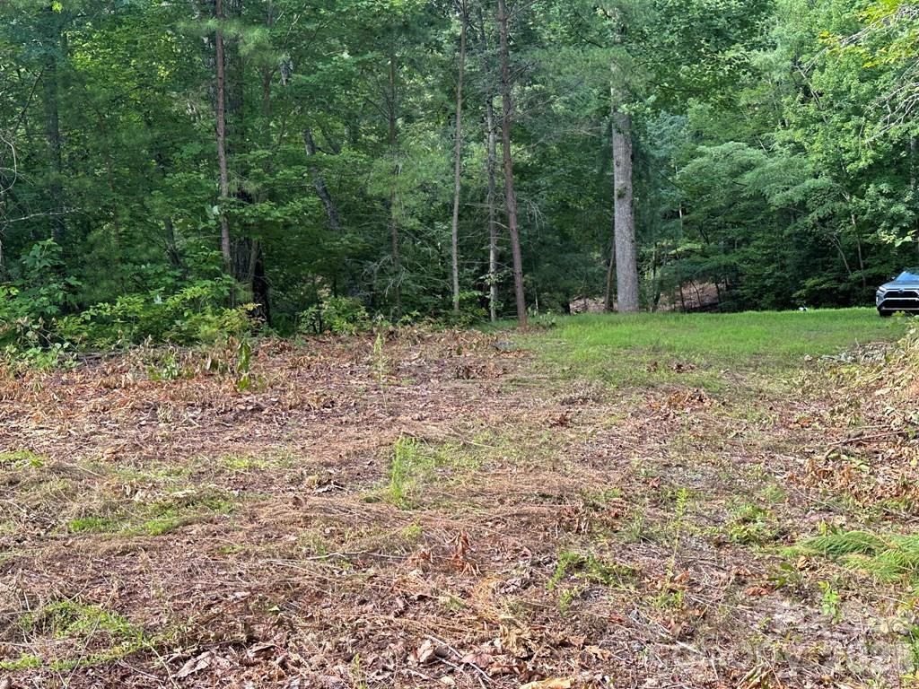 Lot at 87-3 Eagles Flight None, Bryson City, photo 4 of 13
