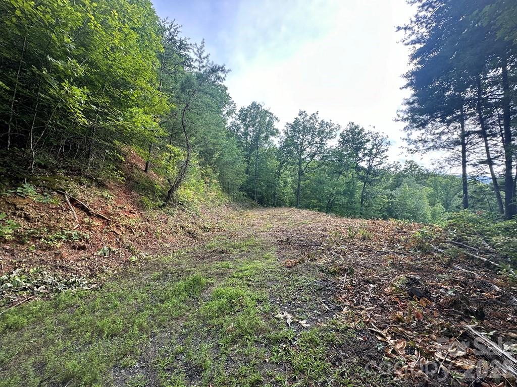 Lot at 87-3 Eagles Flight None, Bryson City, photo 5 of 13