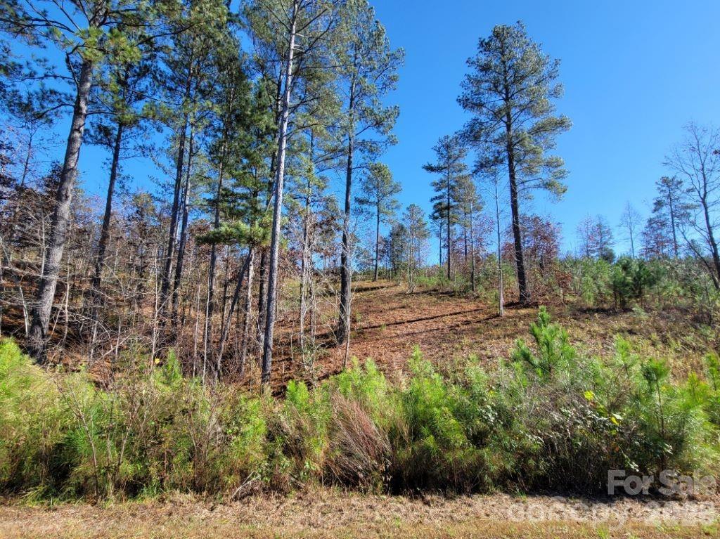 Lot at 2076 Island View Lane NE, Connelly Springs, photo 3 of 14
