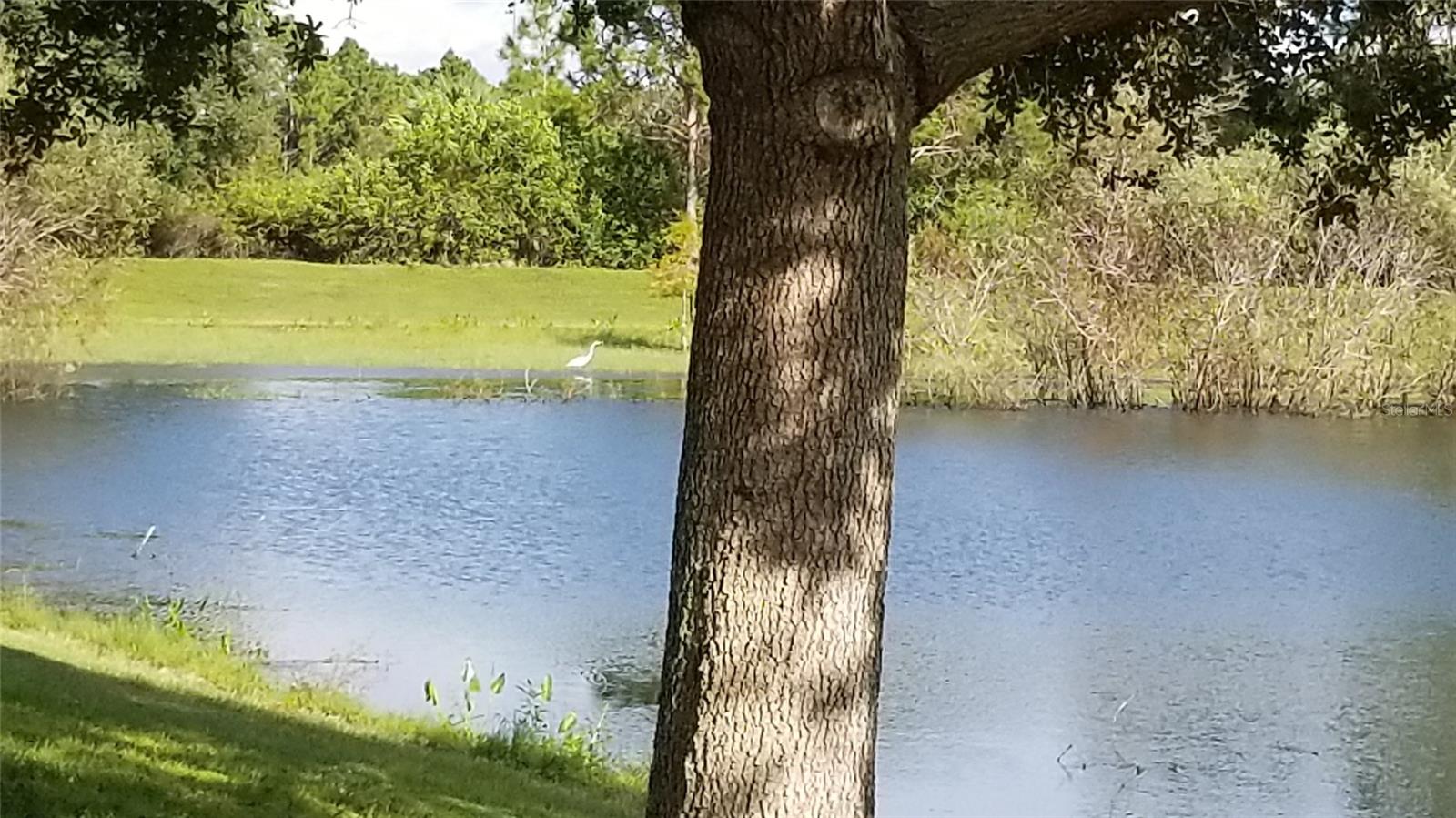 Land at 1148204901 ASHBORO CIR, NORTH PORT, photo 35 of 44