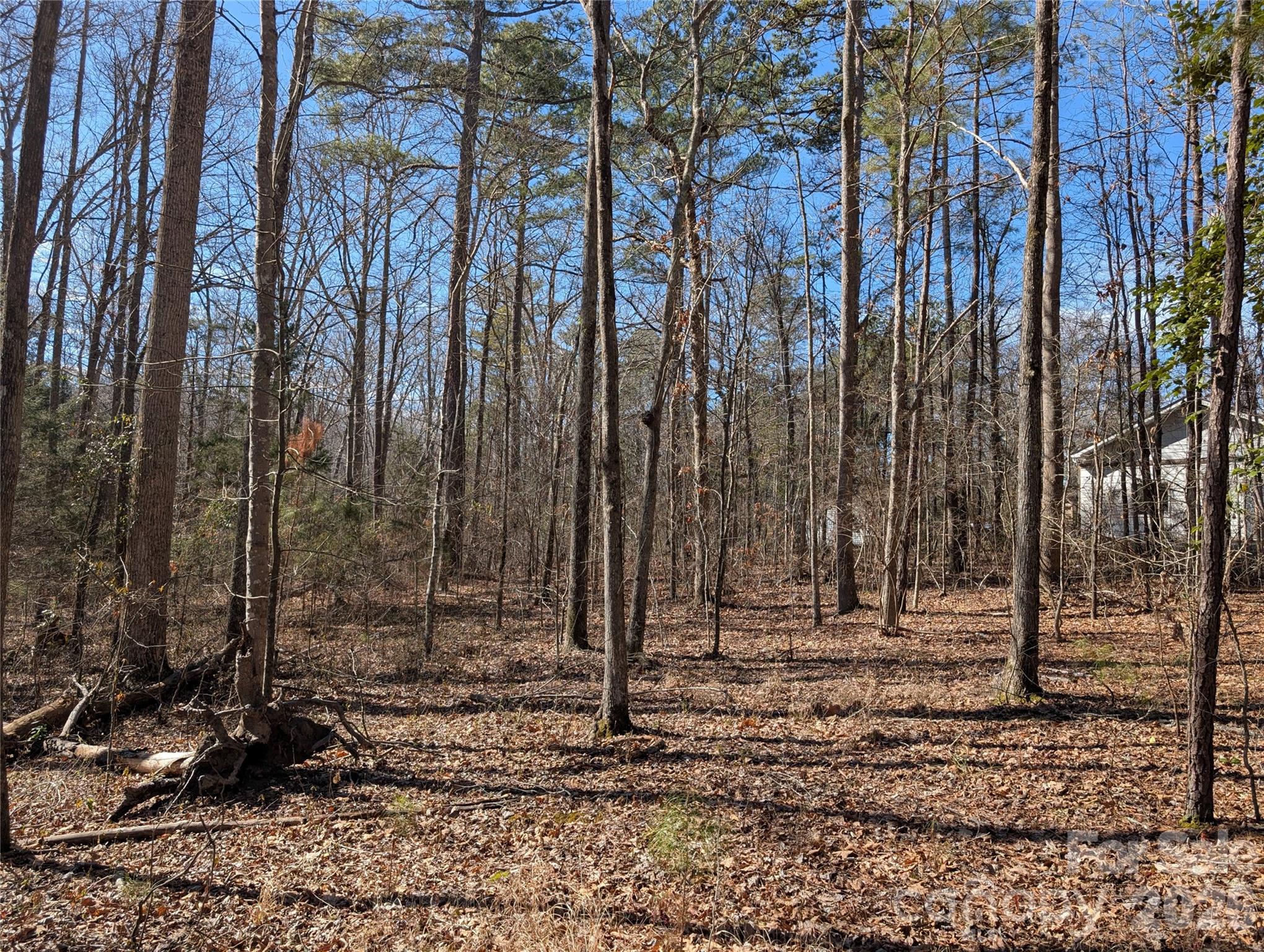 Come build your dream home on 1.75 acres. - 489 & 491 Mimosa Road, Rock Hill