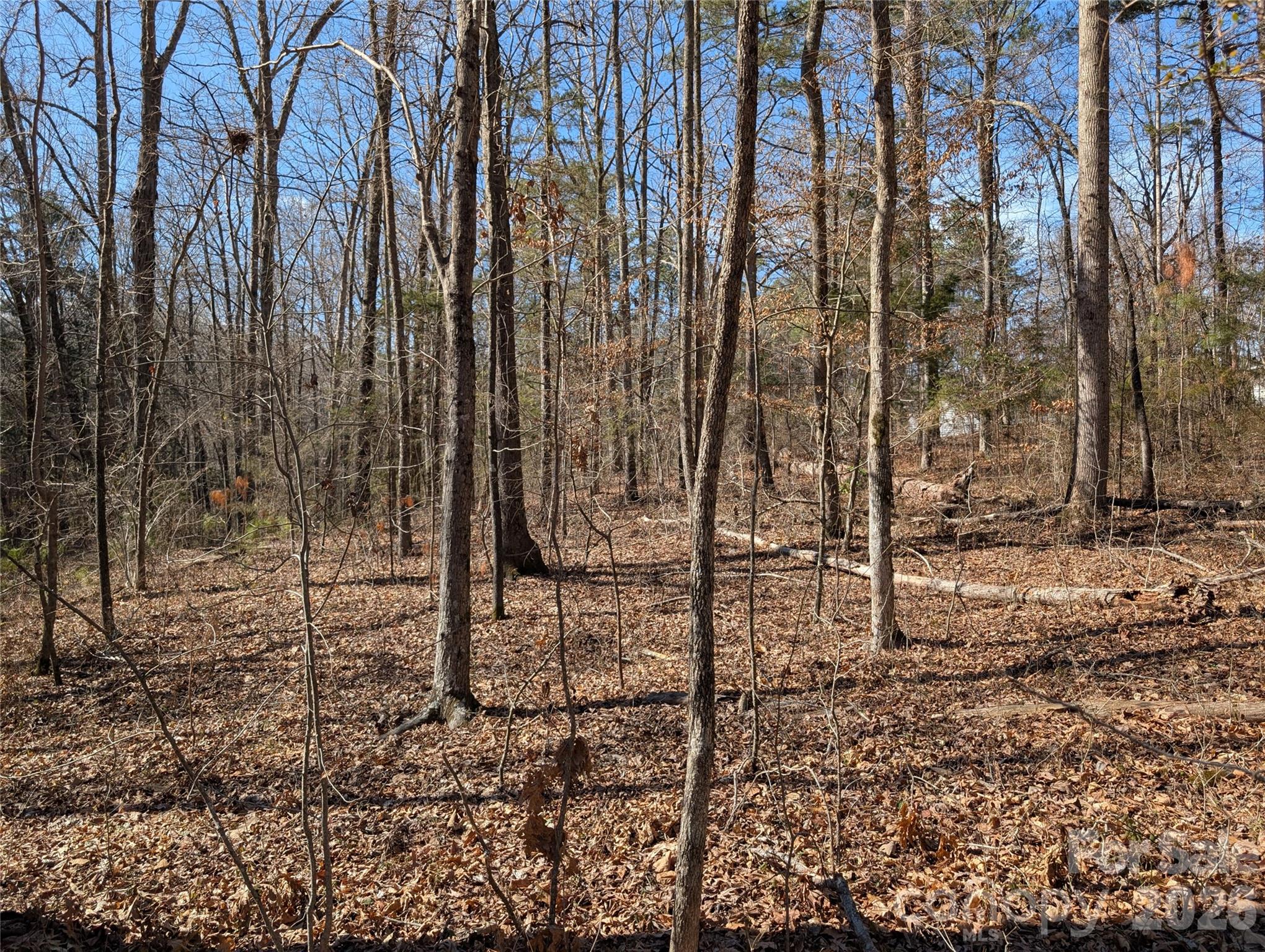 489 & 491 Mimosa Road